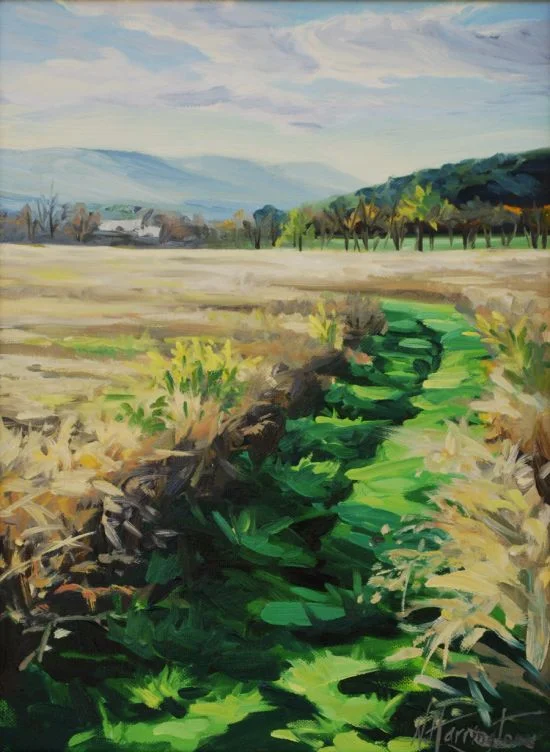 "Mowed Path Through the Grass" Oil on canvas 16" x 12"