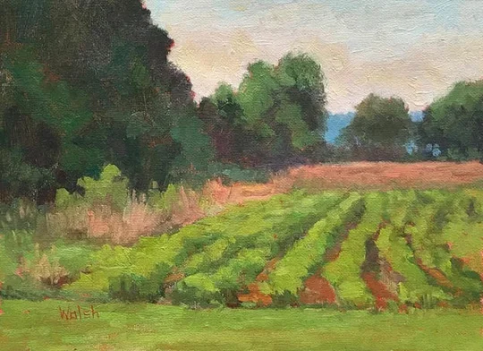 Bean Field_9x12_oil_Meg_Walsh.jpg