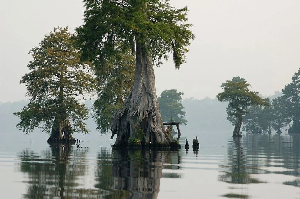 11 nationally protected wetlands you should know about