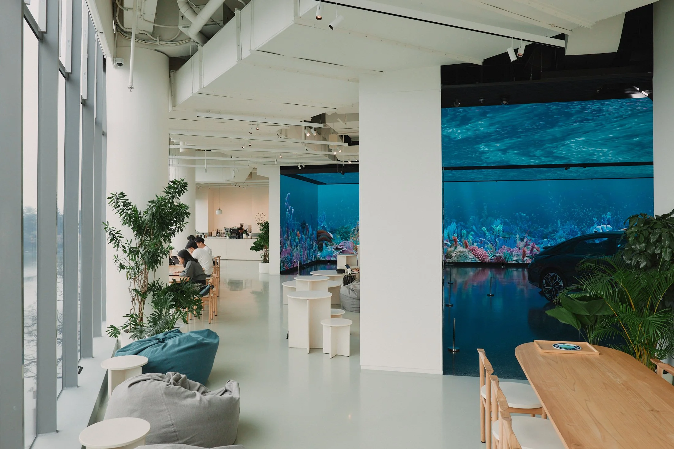 Copy of _MT_7260.jpg