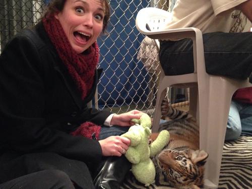 Me and an actual baby tiger. 
