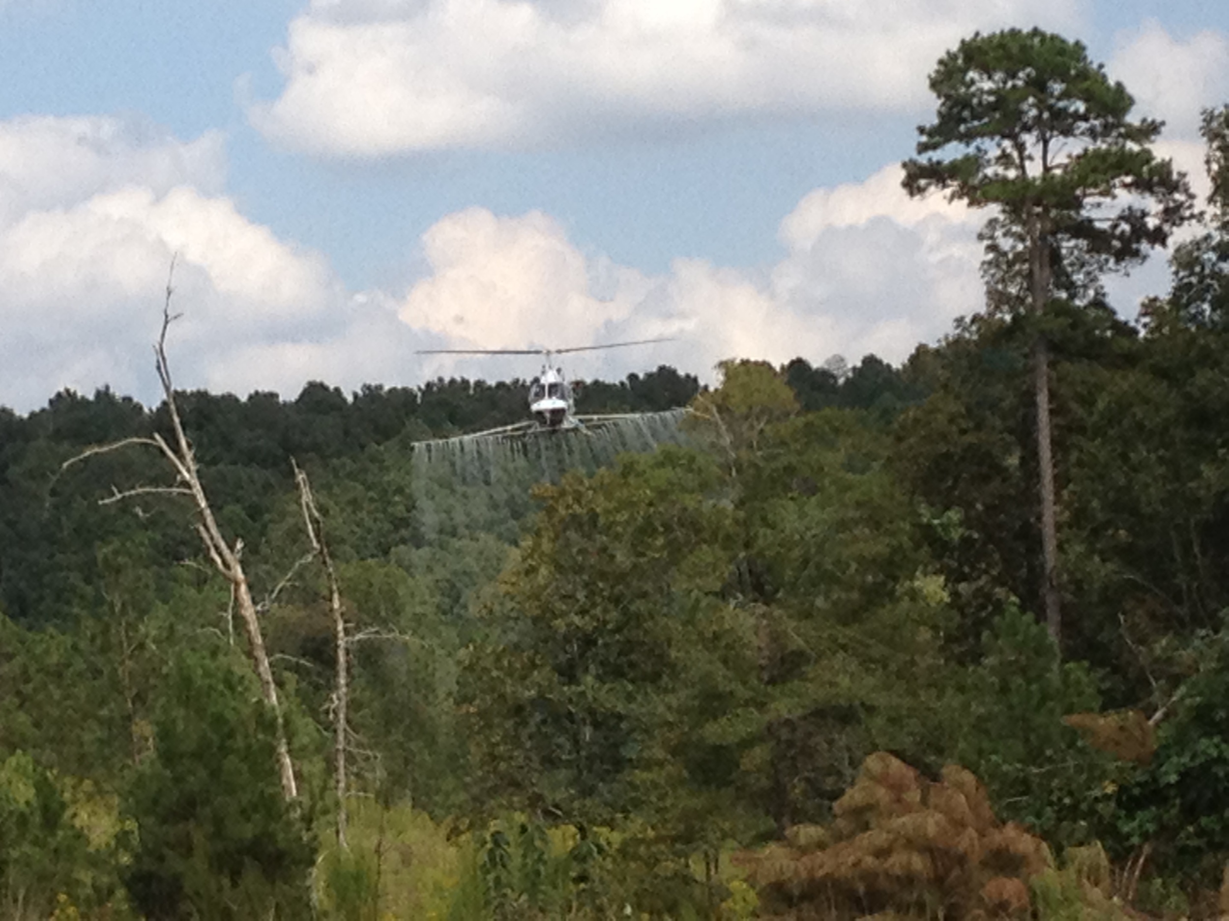 Helicopter Spraying.JPG