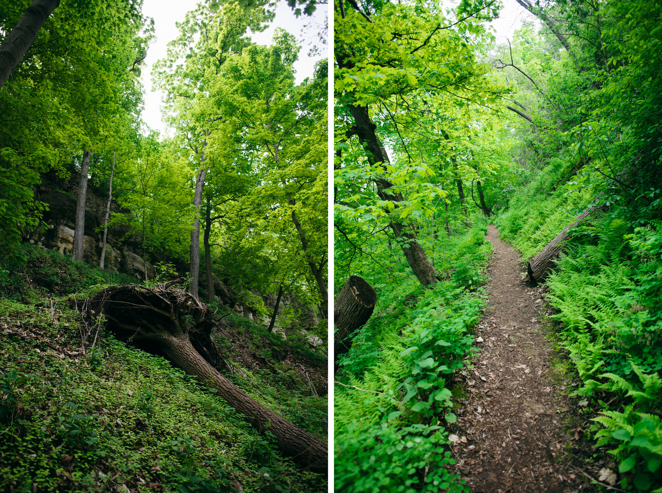 barn bluff spring.jpg