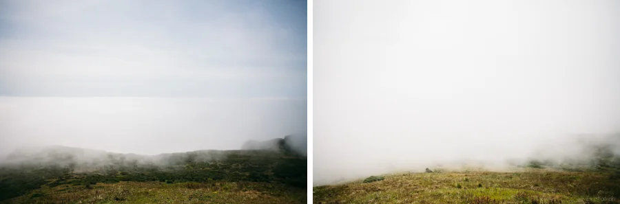 marine layer-2.jpg