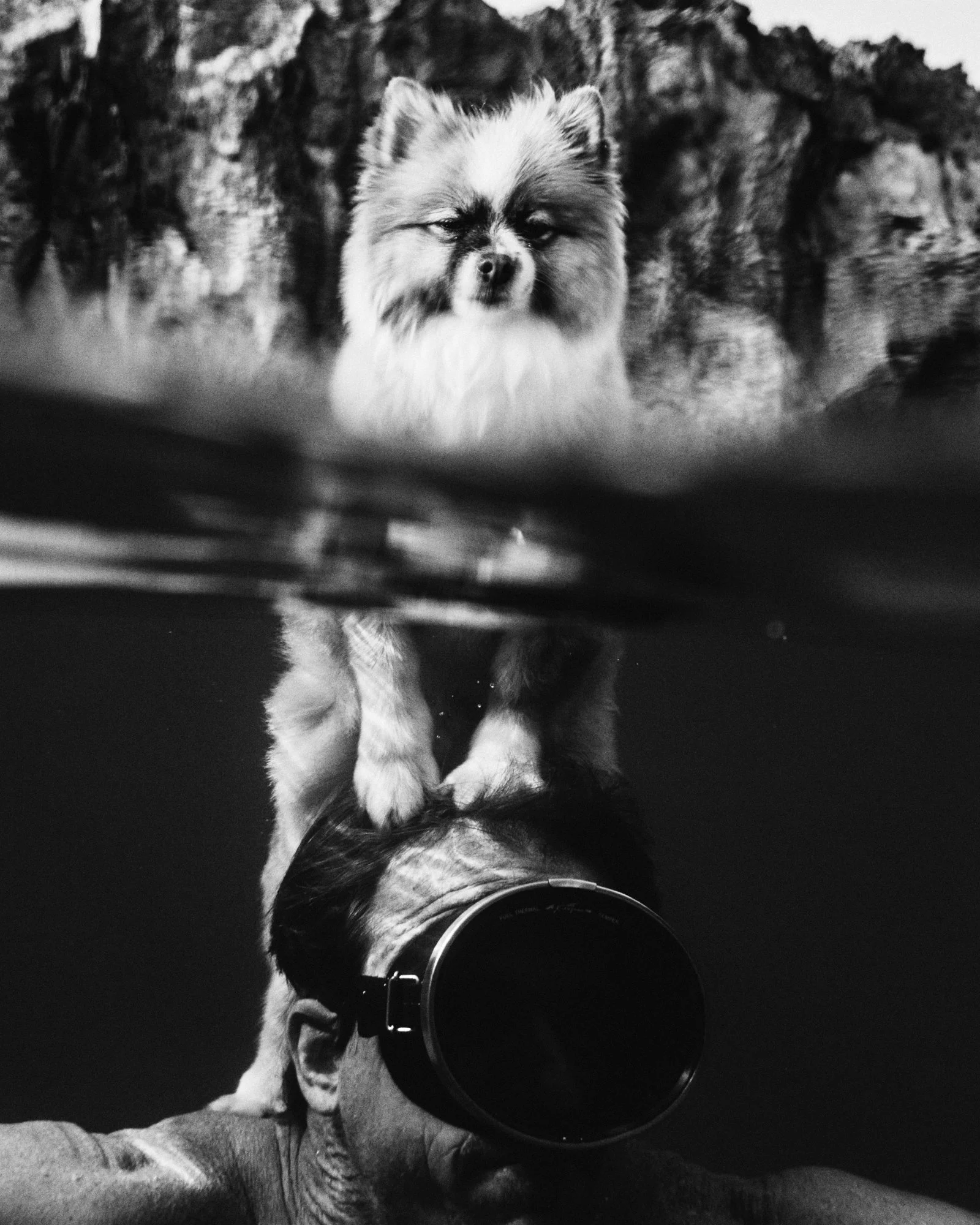 20210819_Sharkscove_AS_0232 1.jpg