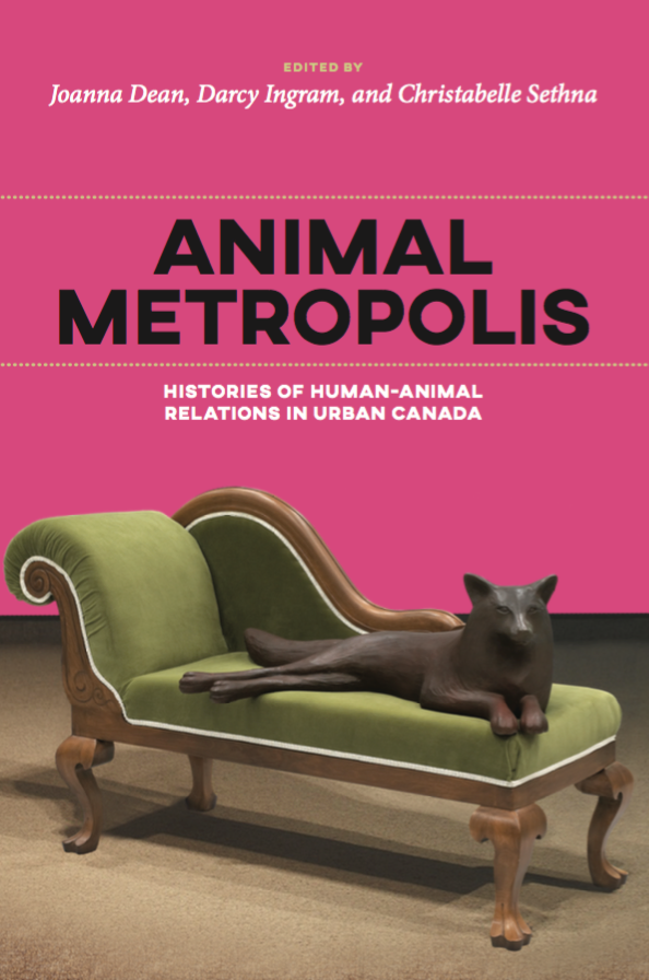 AM cover.png
