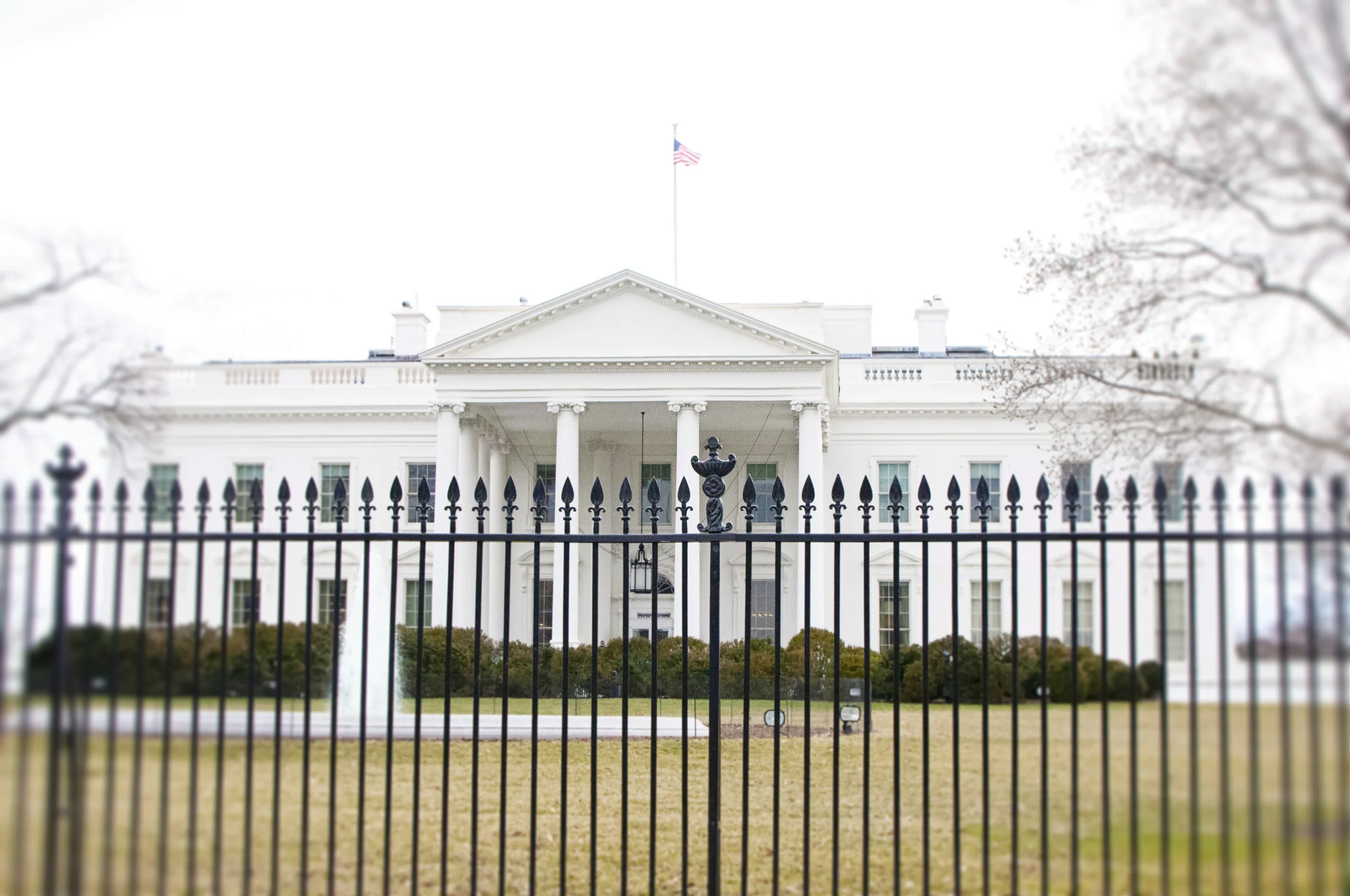 White House 