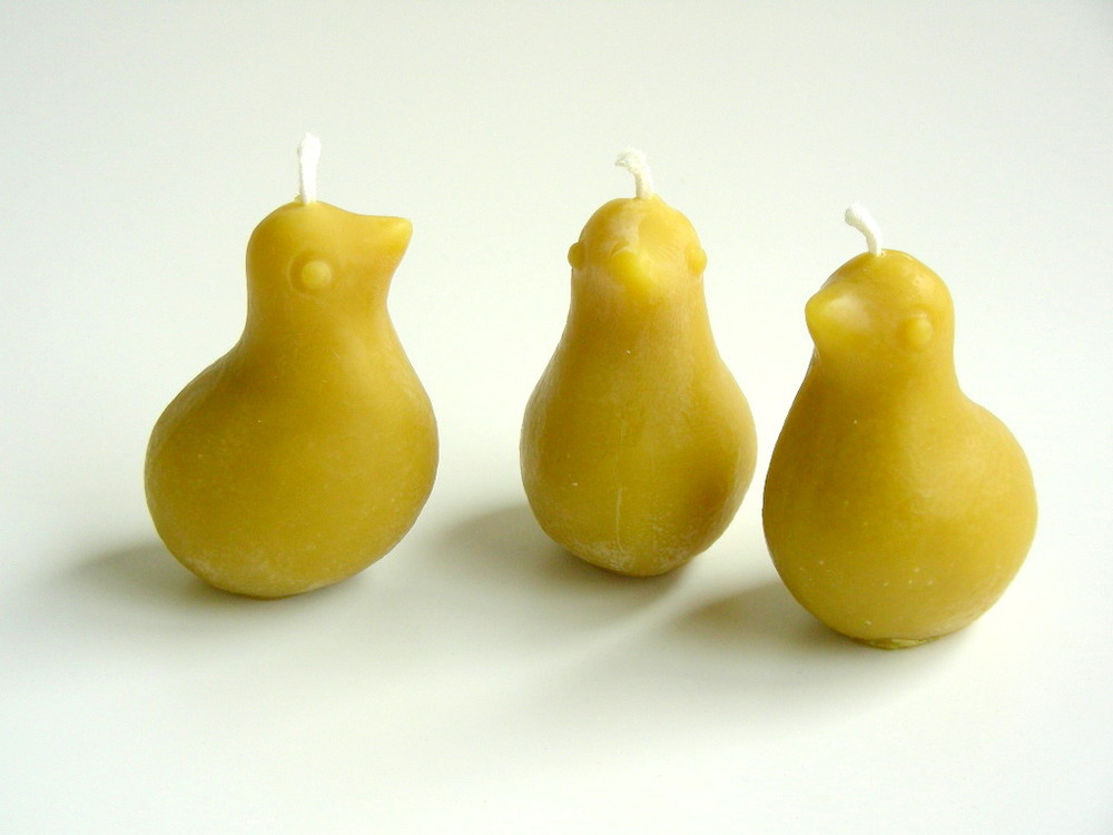 partridge_chicks.JPG