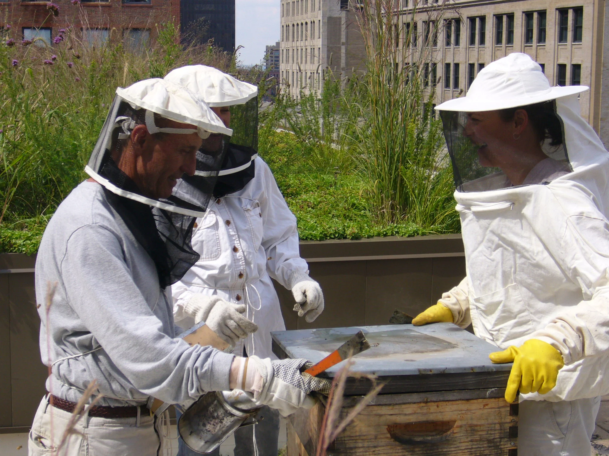 C H I C A G O H O N E Y C O - O P