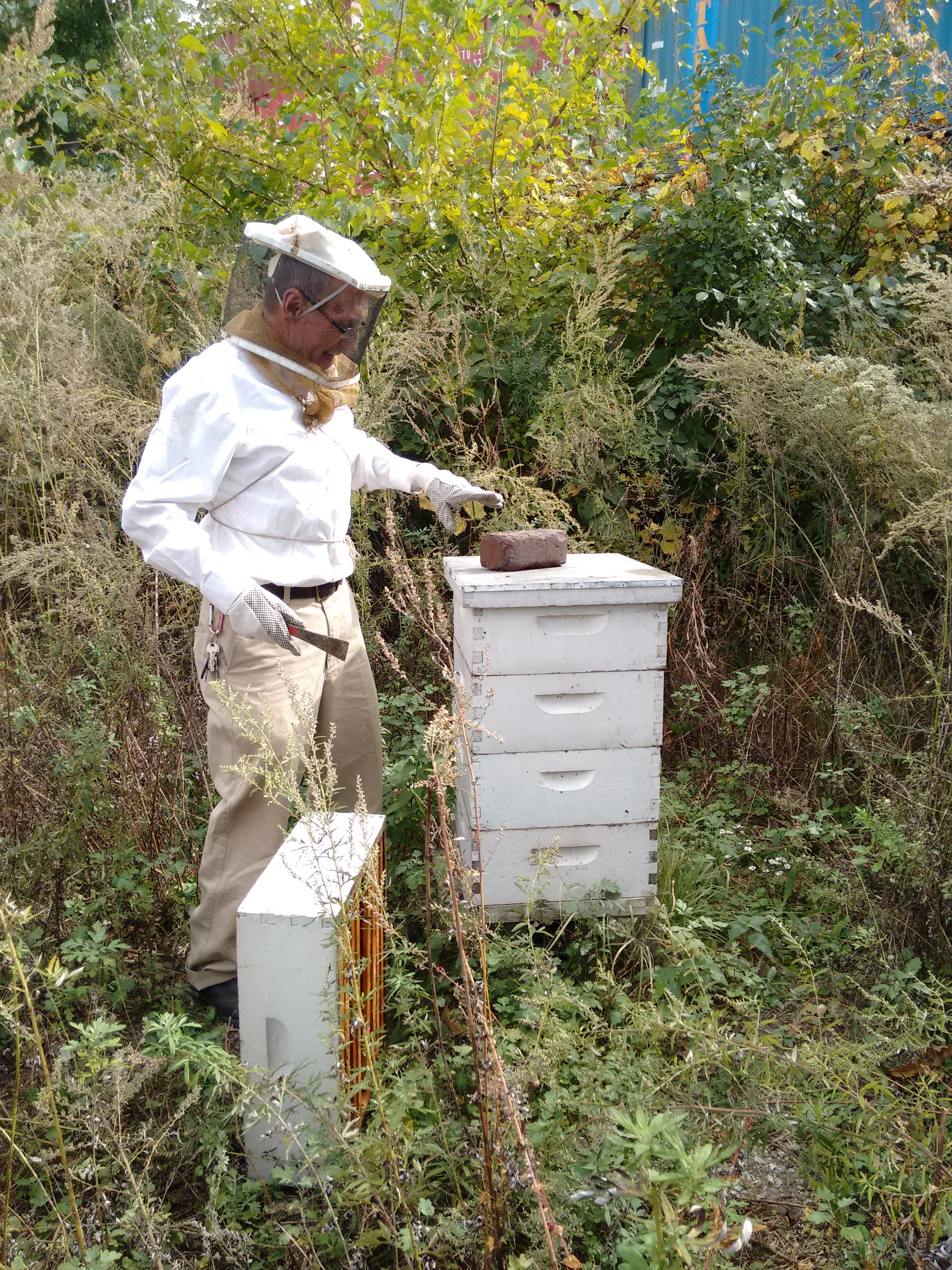 Michael Thompson hive inspection.jpg