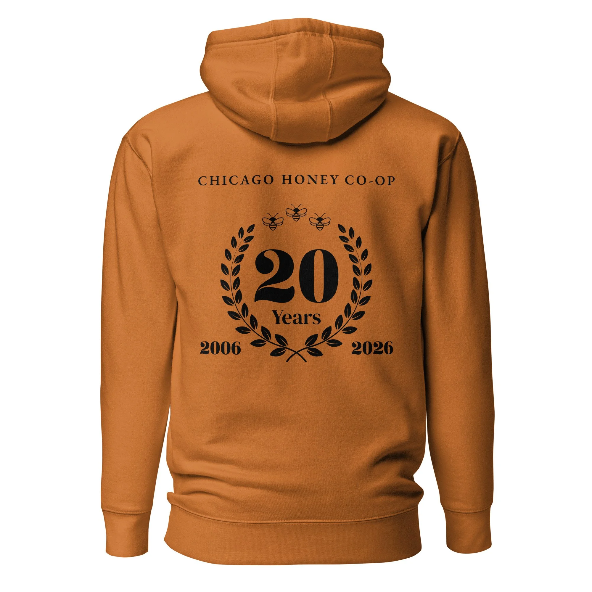 unisex-premium-pullover-hoodie-adobe-back-69c6de4868513.jpg
