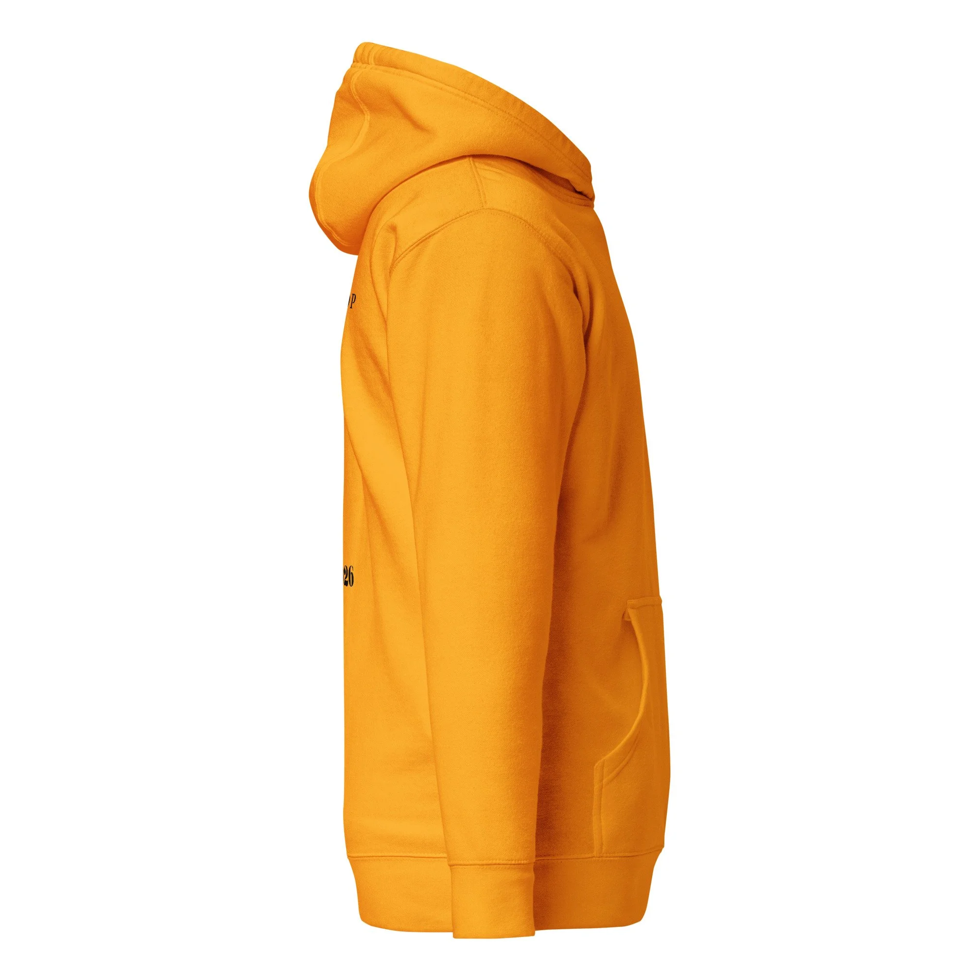 unisex-premium-pullover-hoodie-team-gold-right-69c6de4869b68.jpg