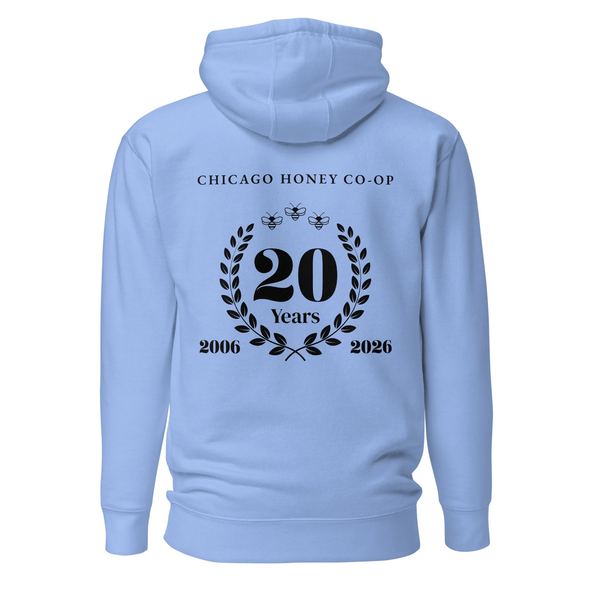 unisex-premium-pullover-hoodie-carolina-blue-back-69c6de48681f9.jpg
