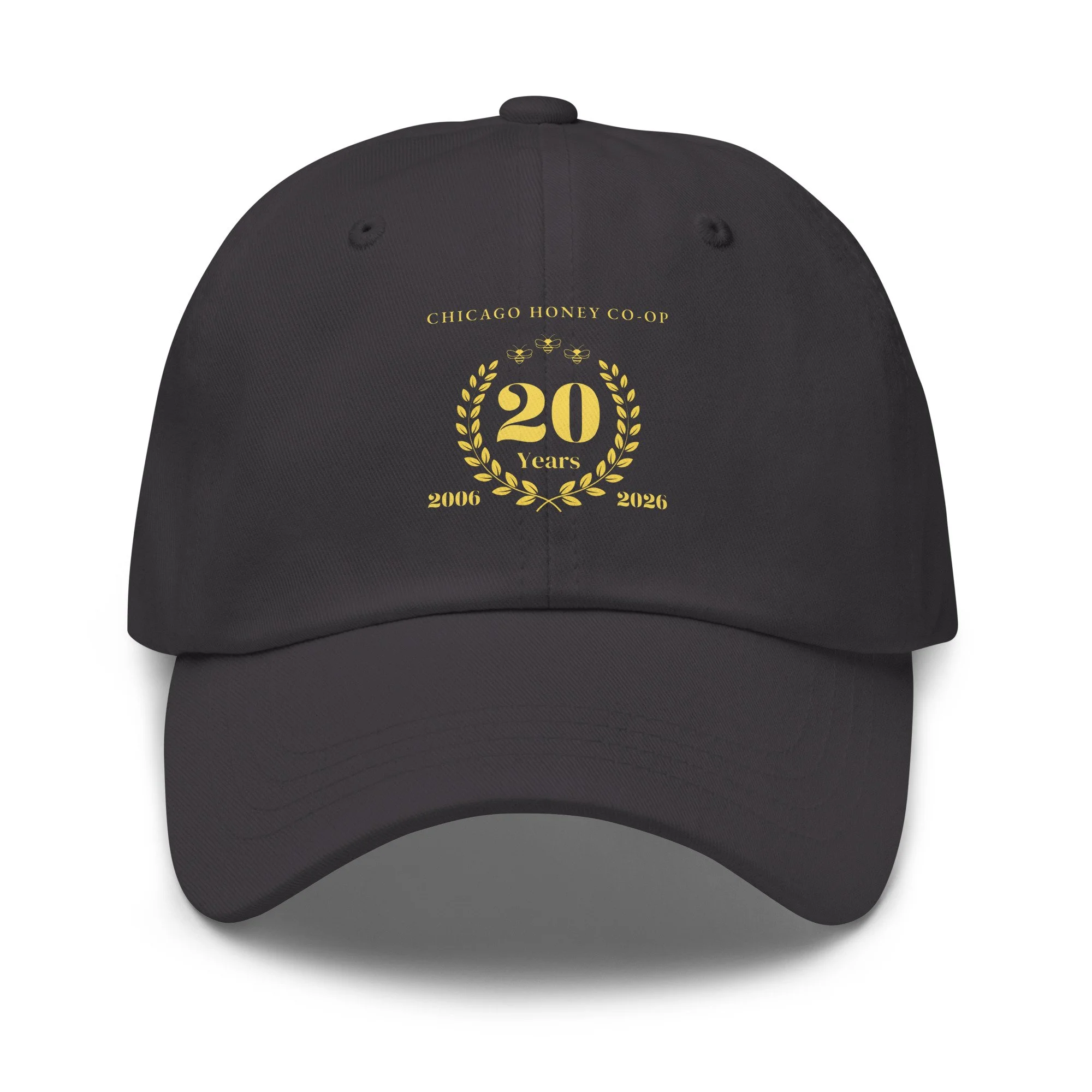 classic-dad-hat-dark-grey-front-6a49828f83545.jpg