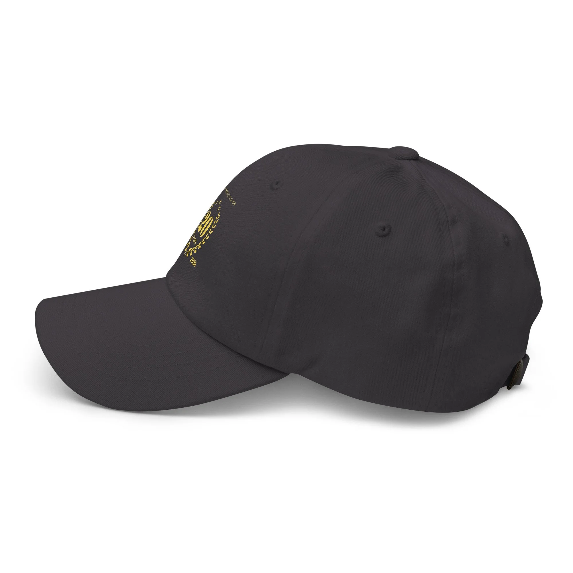 classic-dad-hat-dark-grey-left-side-6a49828f85333.jpg