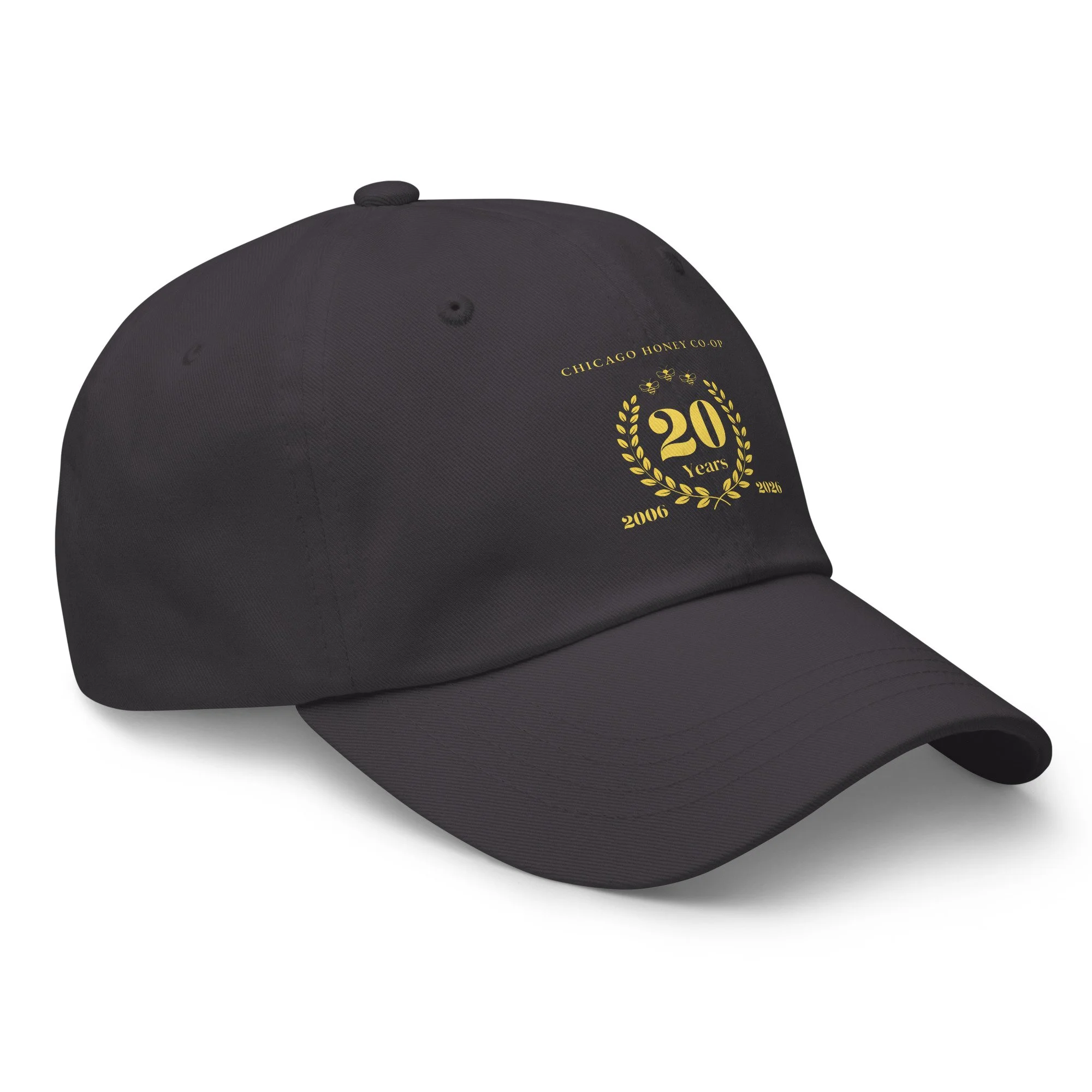 classic-dad-hat-dark-grey-right-front-6a49828f857a8.jpg