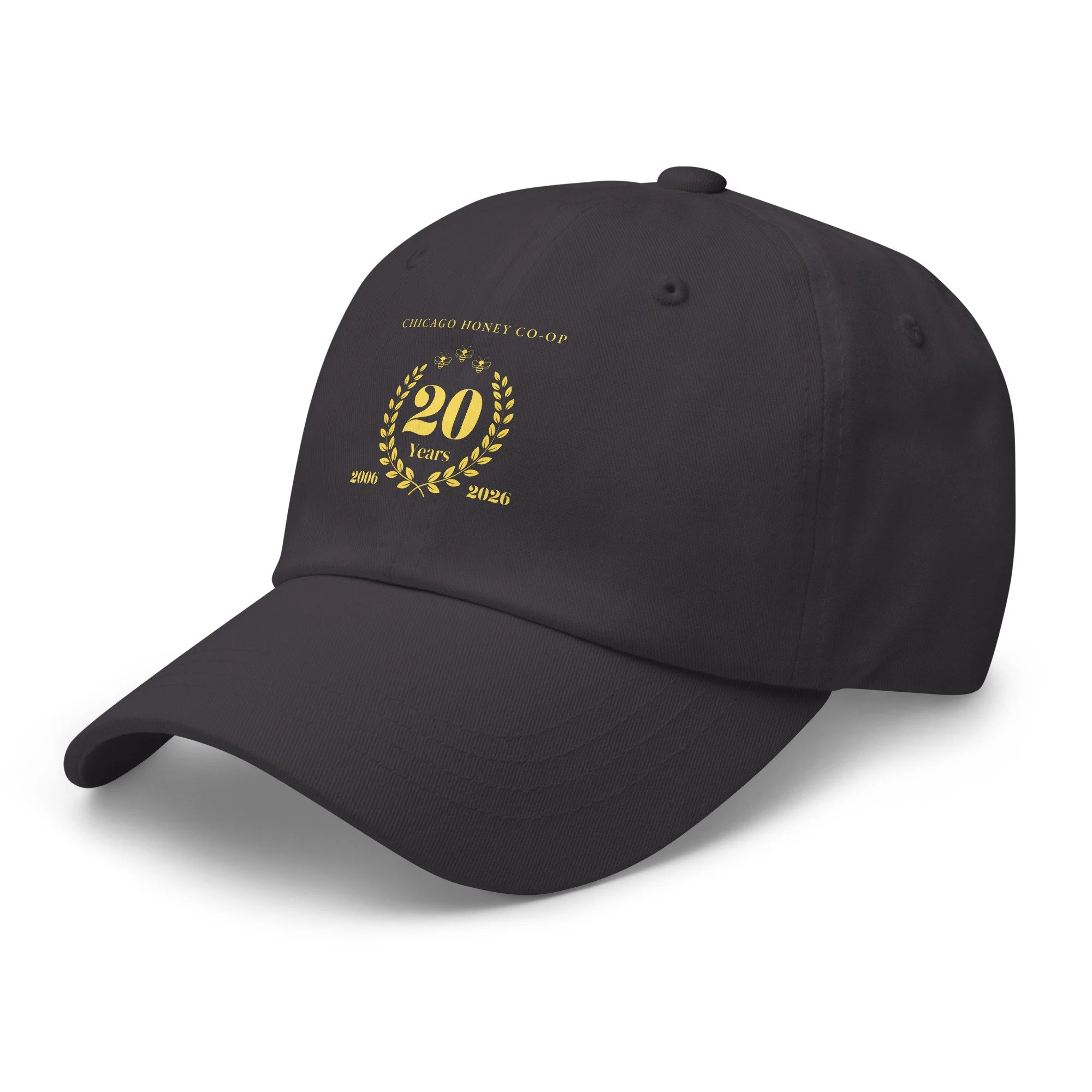 classic-dad-hat-dark-grey-left-front-6a49828f85cad.jpg