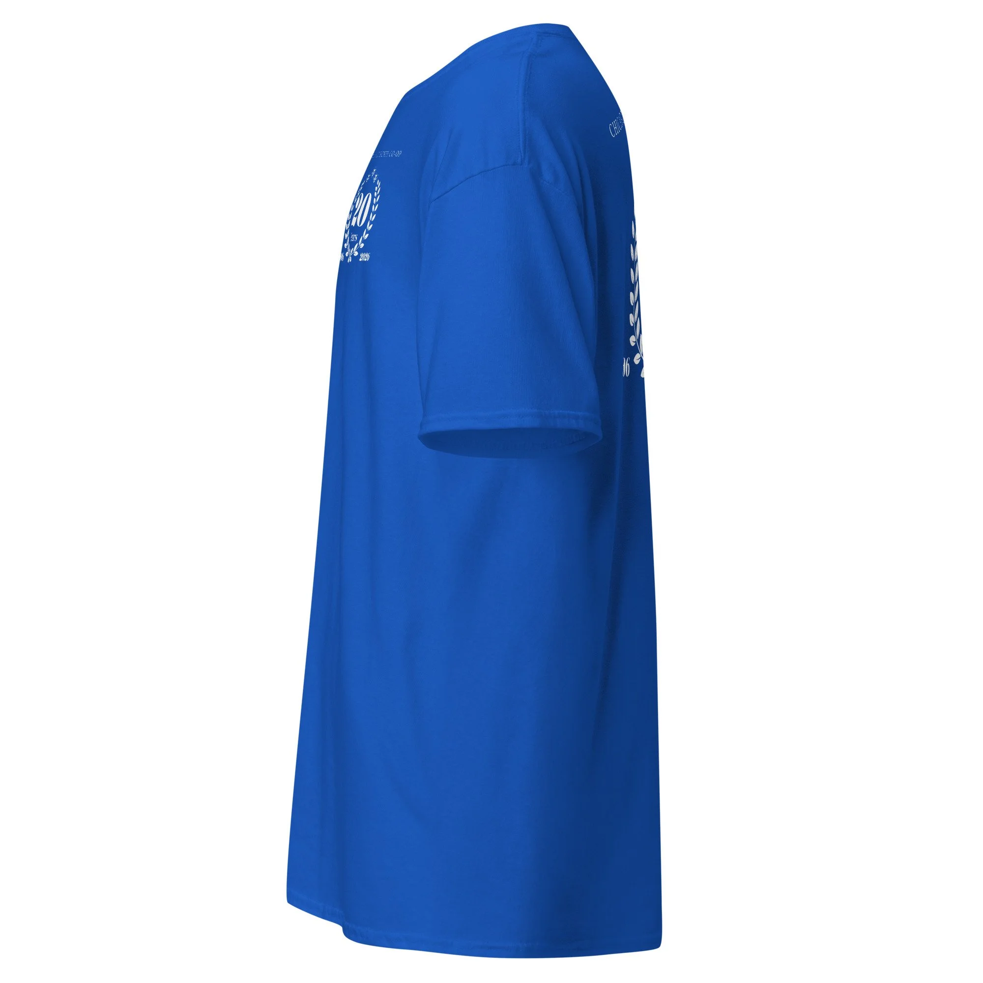 unisex-classic-tee-royal-left-6a516138bfb74.jpg