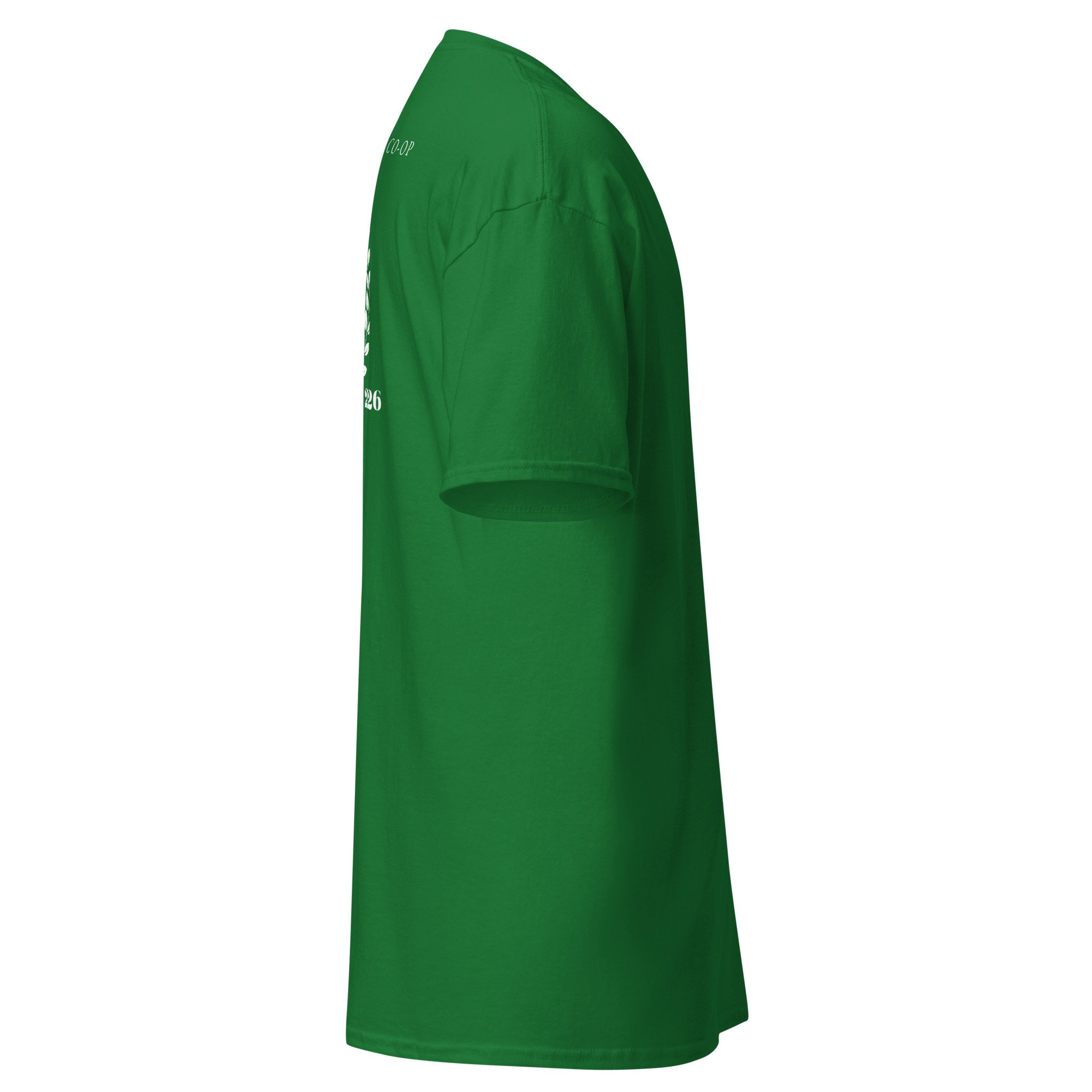 unisex-classic-tee-turf-green-right-6a516138bf5d3.jpg