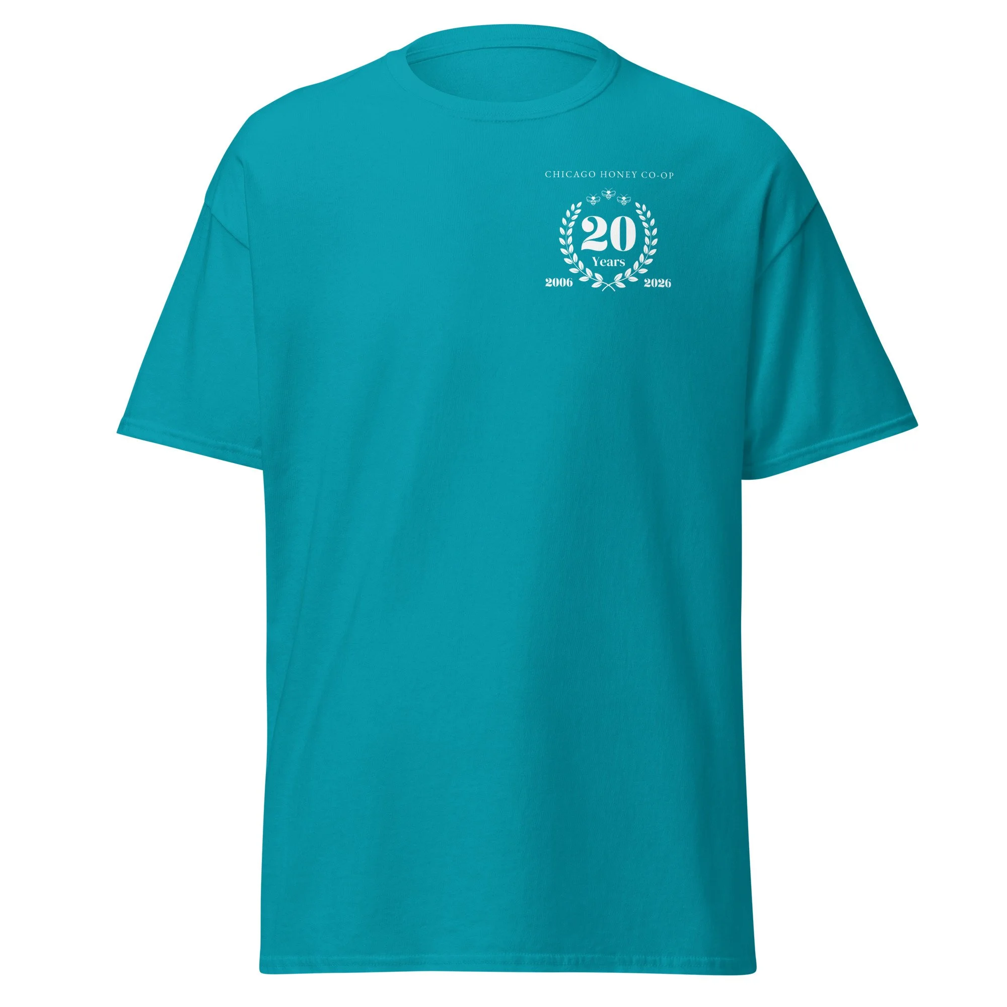 unisex-classic-tee-tropical-blue-front-6a516138c0398.jpg