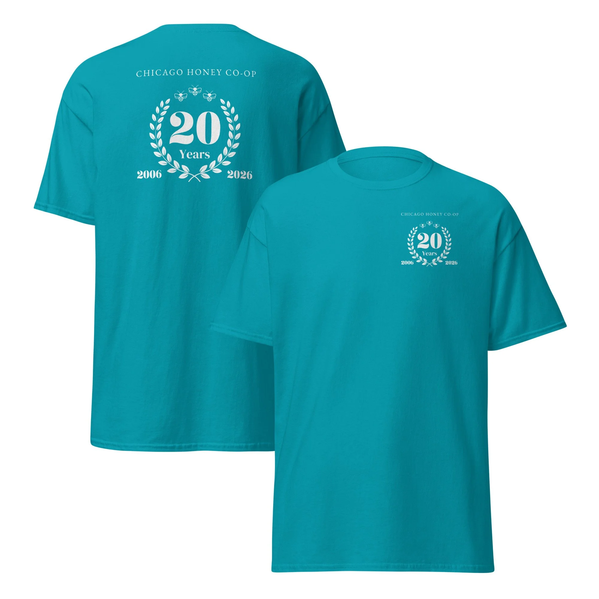 unisex-classic-tee-tropical-blue-front-and-back-6a516138c0a71.jpg