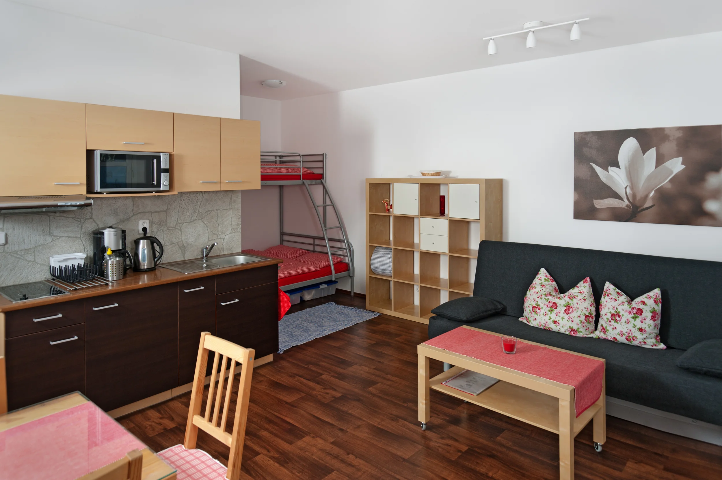 Foto a retuš - apartmán Klínovec