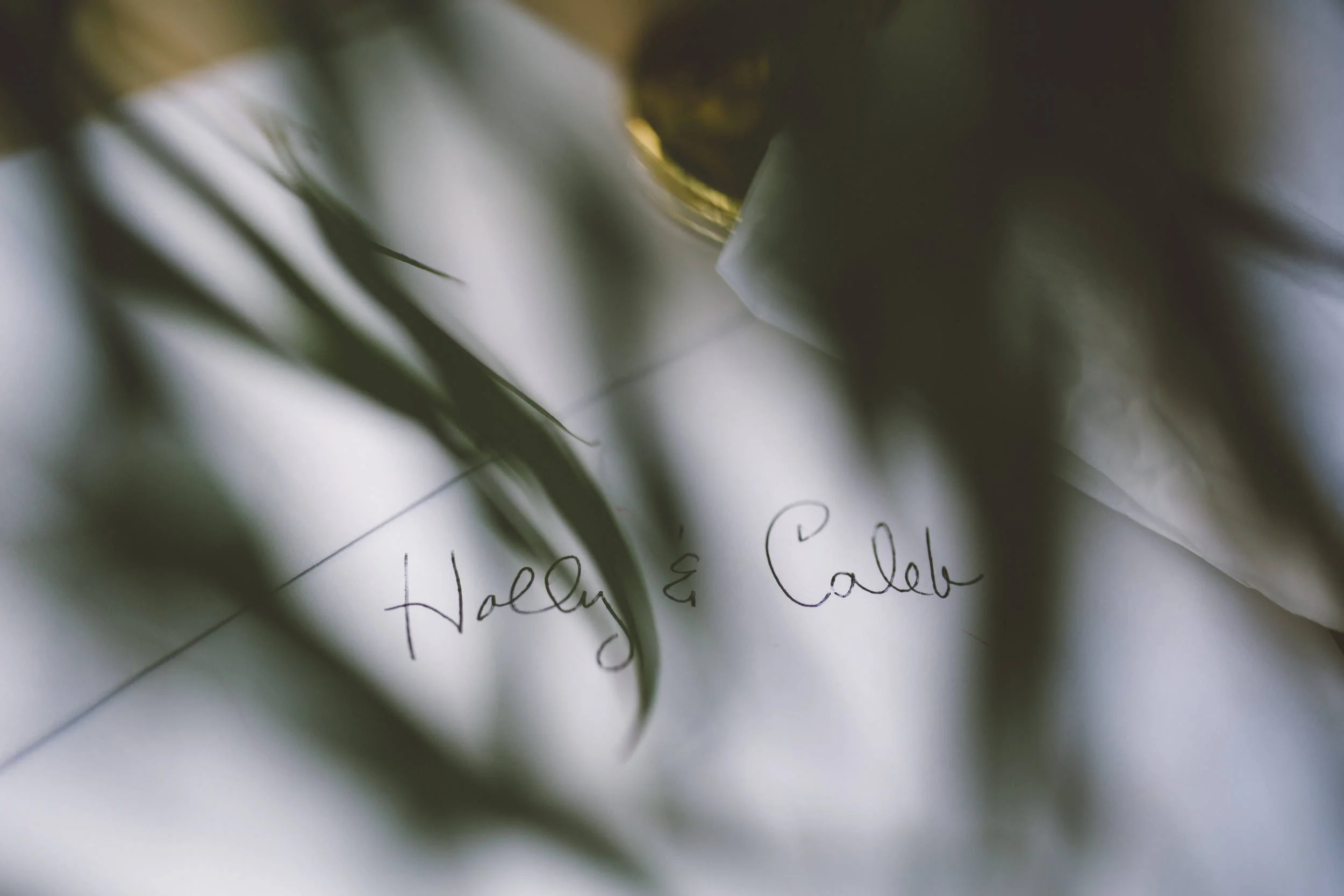 Holly & Caleb | Wedding | Powel Crosley Estate | Sarasota, Florida | Benjamin Hewitt Photography