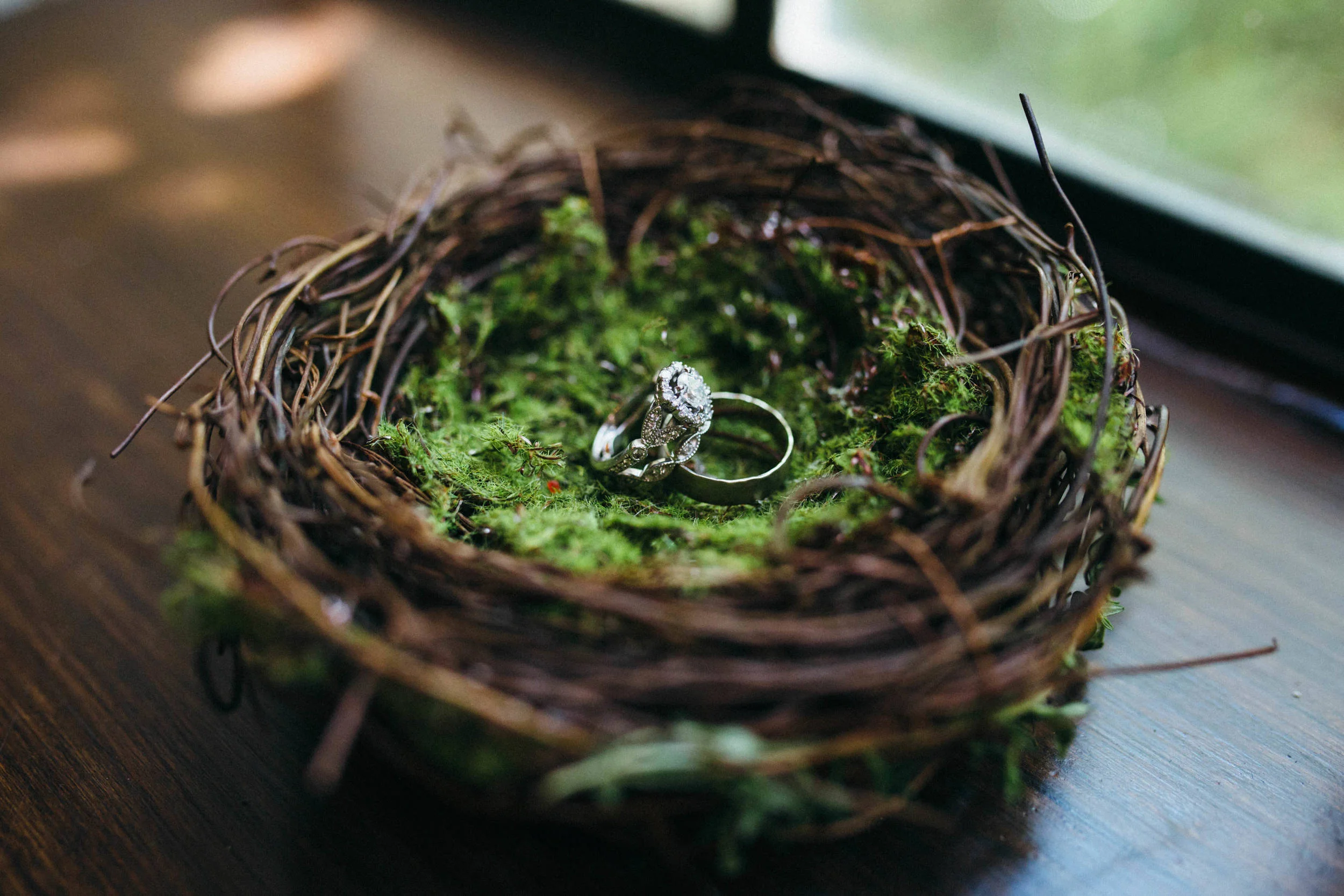 Holly & Caleb | Wedding | Powel Crosley Estate | Sarasota, Florida | Benjamin Hewitt Photography