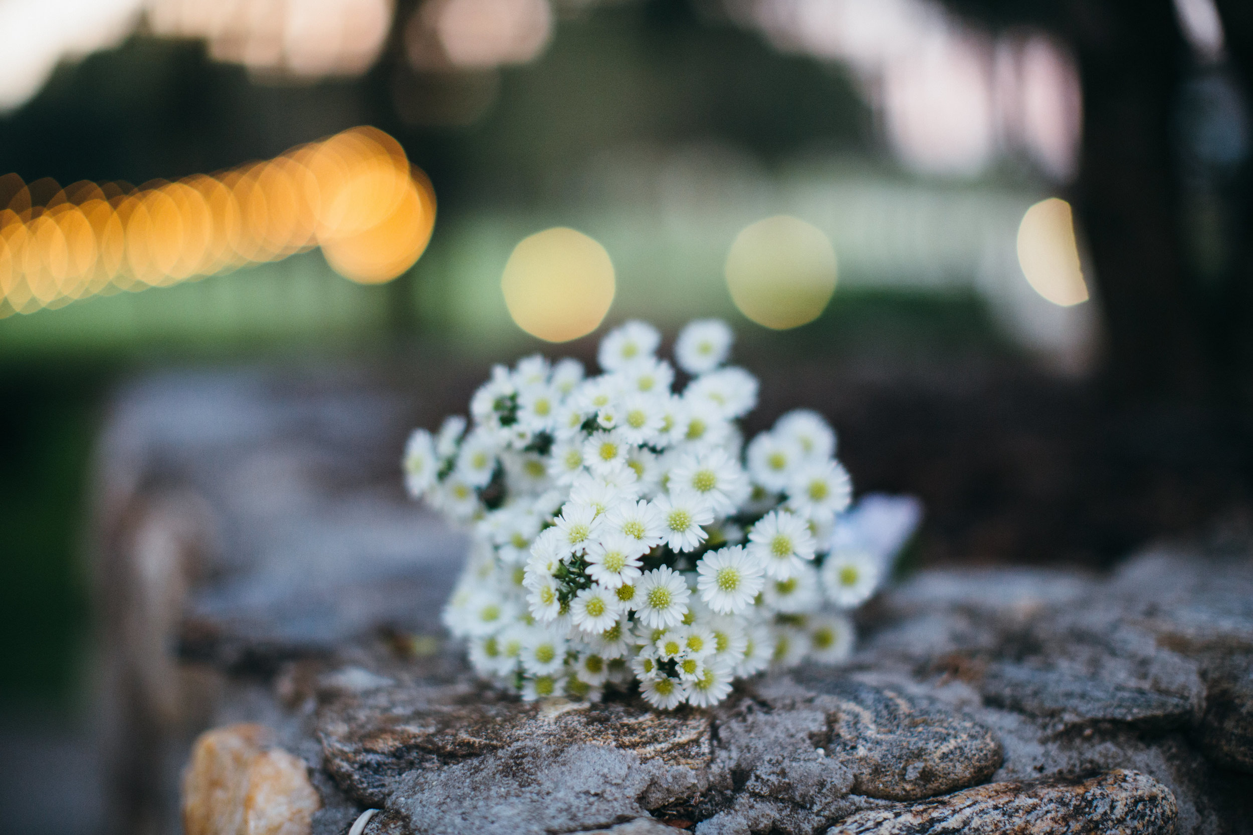 Lange Farm Wedding | Benjamin Hewitt Photography