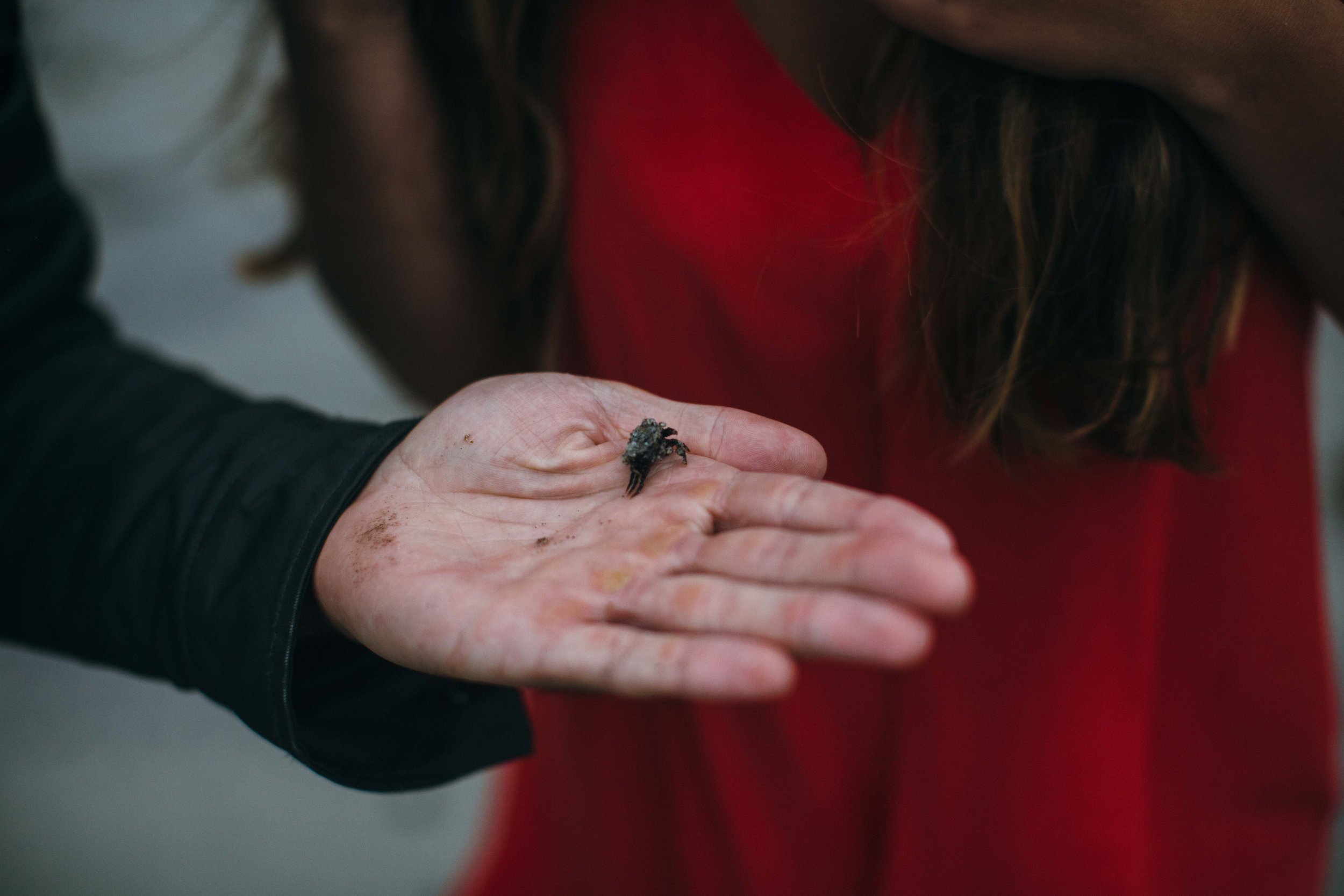 Benjamin Hewitt Photography | Romantic Pfeiffer Beach Portraits | Big Sur, California