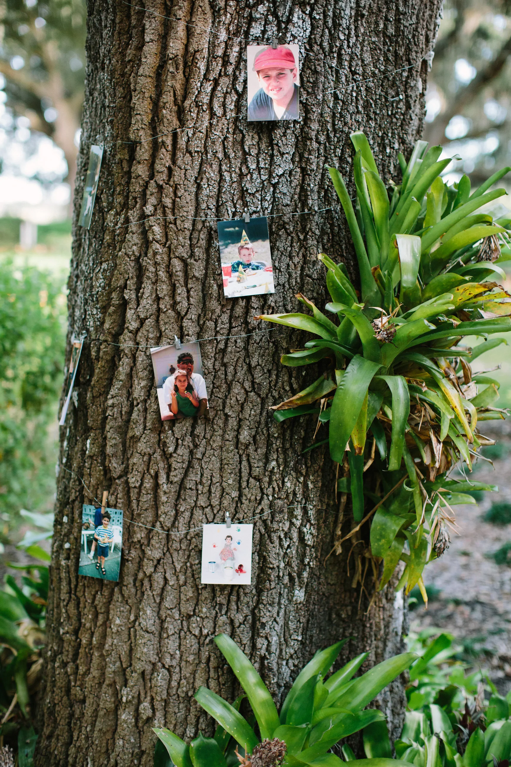 Details Plant City Florida Wedding Photographer Benjamin Hewitt Photography