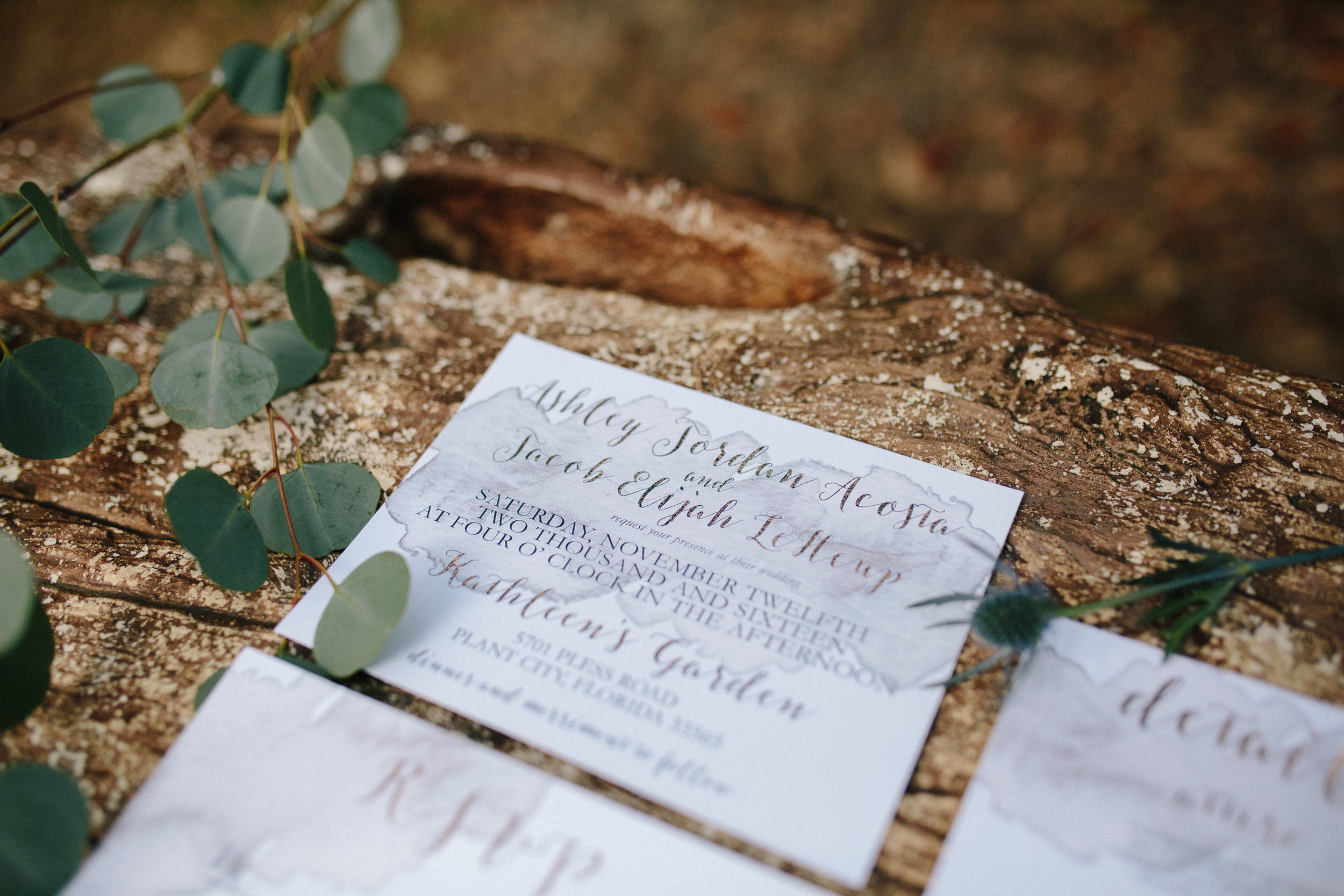 Wedding Invitations Plant City Florida Wedding Photographer Benjamin Hewitt Photography