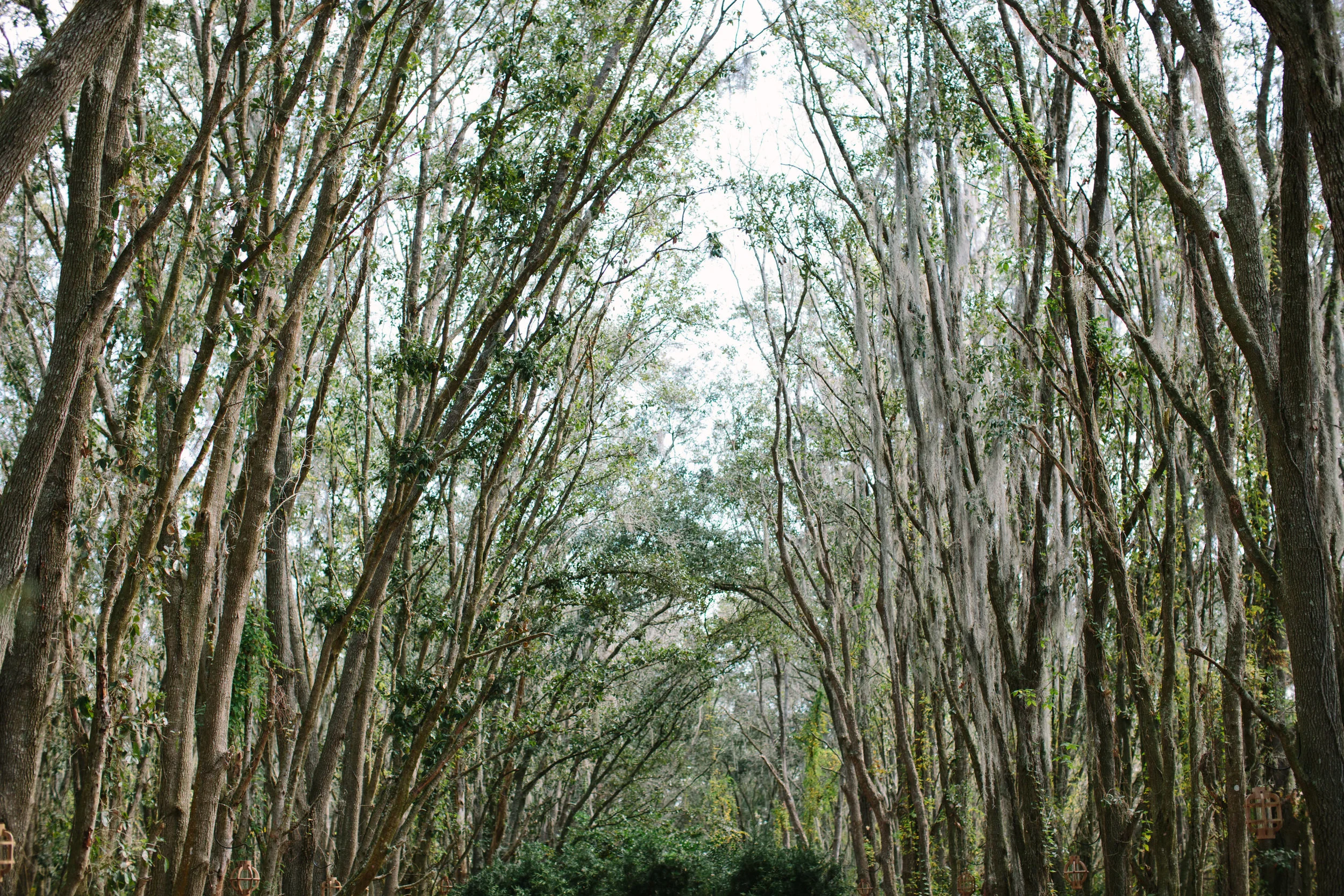 Gables | Florida Rustic Barn Weddings | Plant City, Florida Wedding Photography | Benjamin Hewitt Photographer