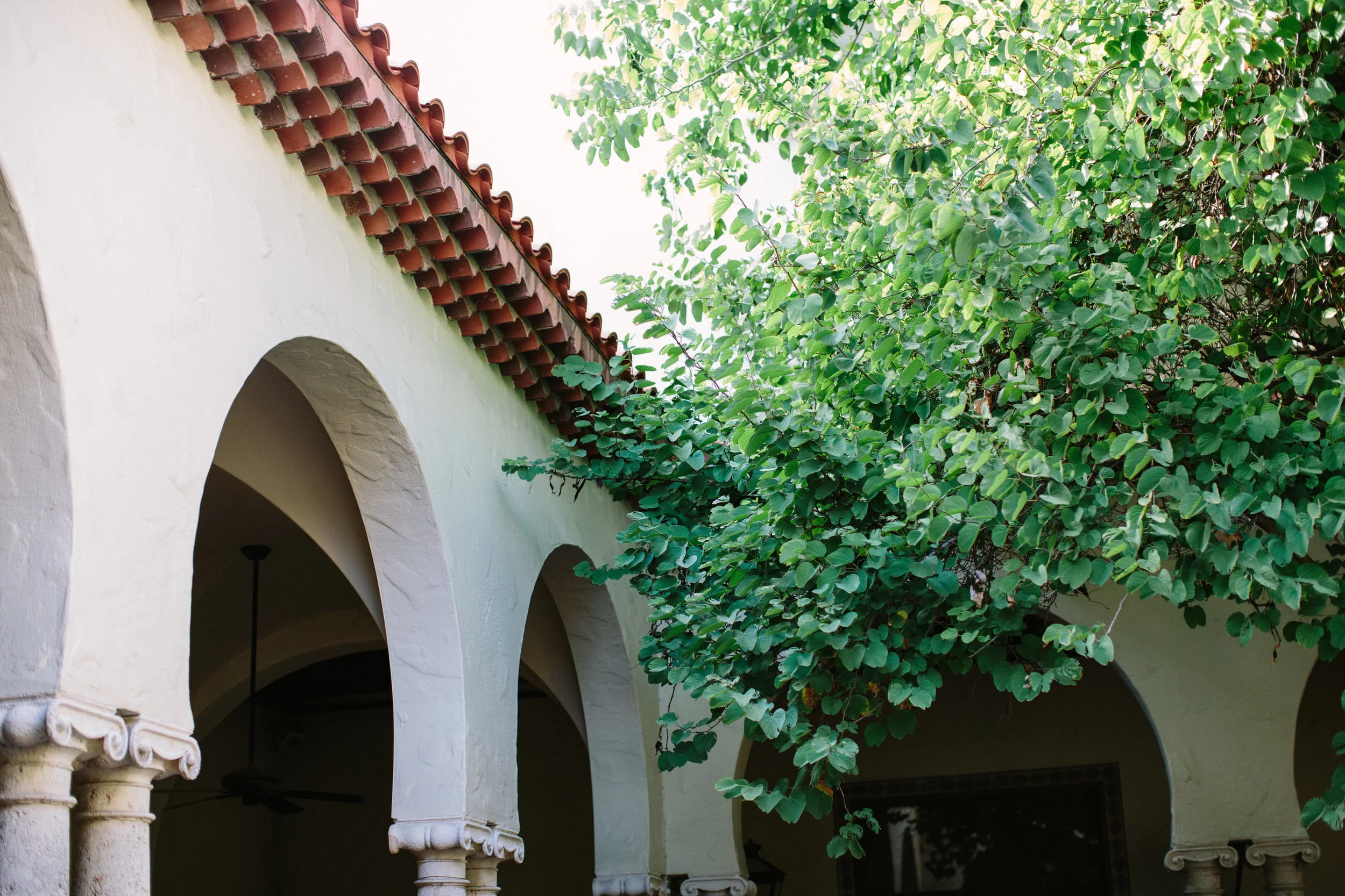 St. Pete Wedding | Museum of Fine Arts | Benjamin Hewitt Photography