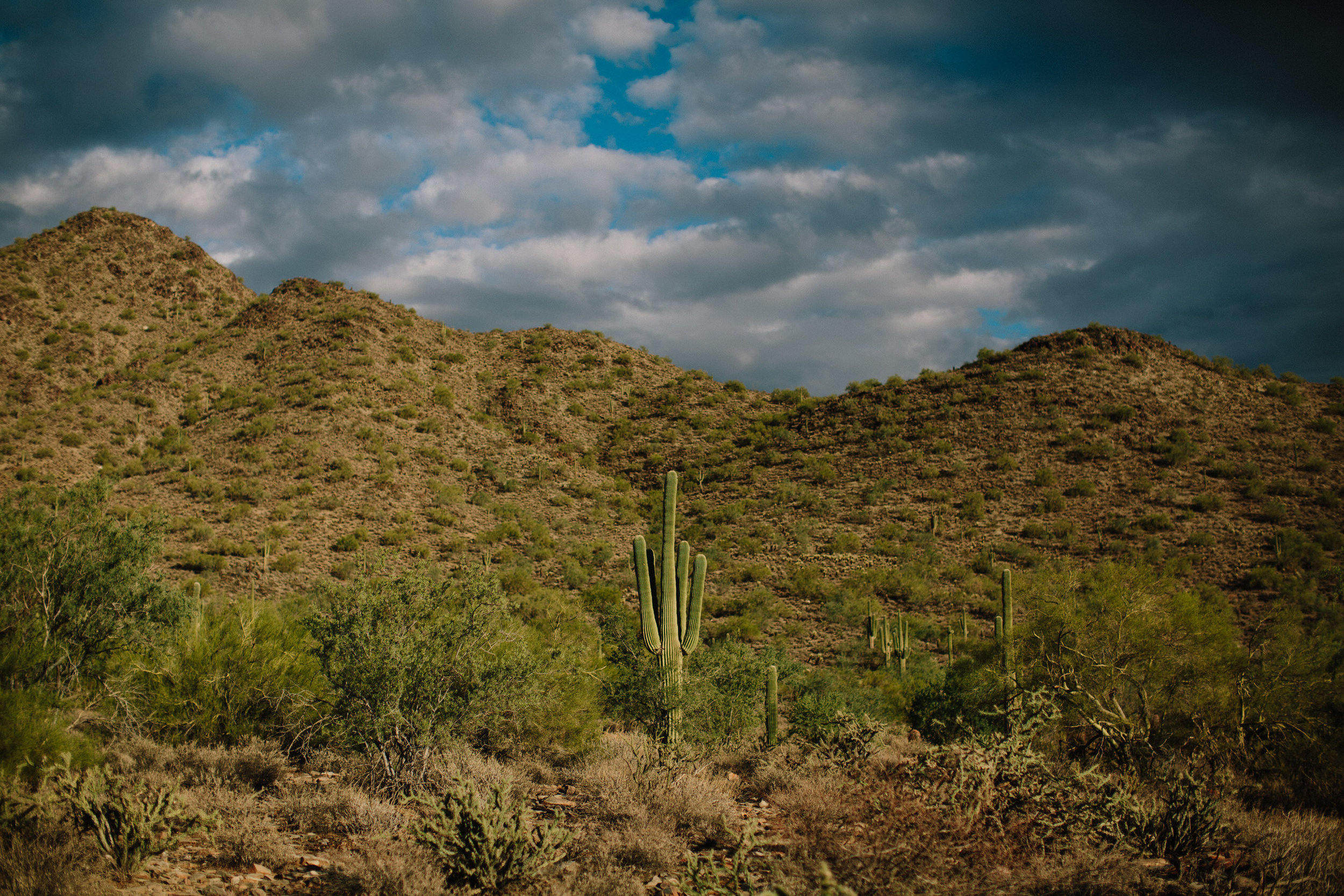 Arizona Desert Sunset Engagement Pics