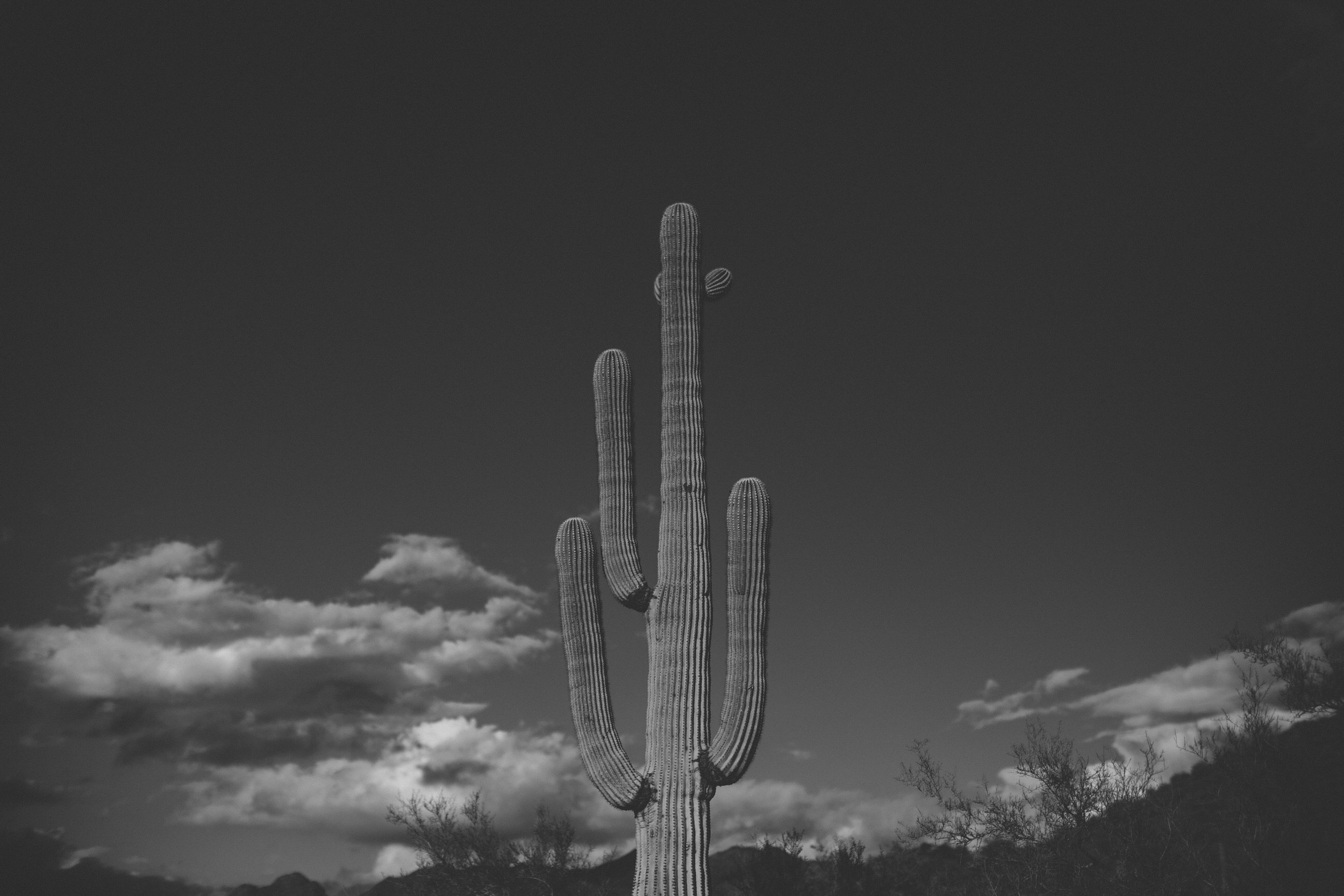 Arizona Desert Sunset Engagement Pics