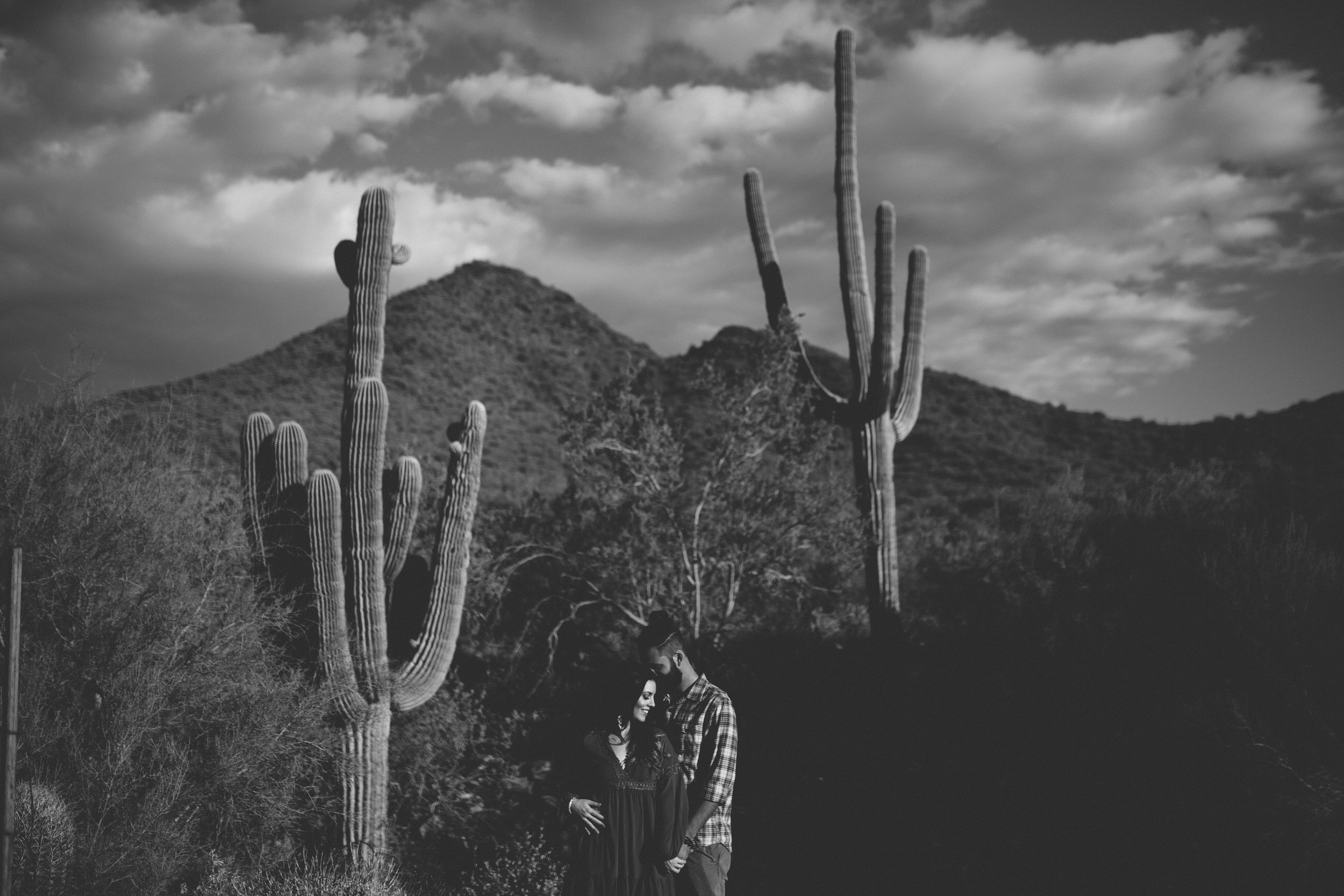 Arizona Desert Sunset Engagement Pics