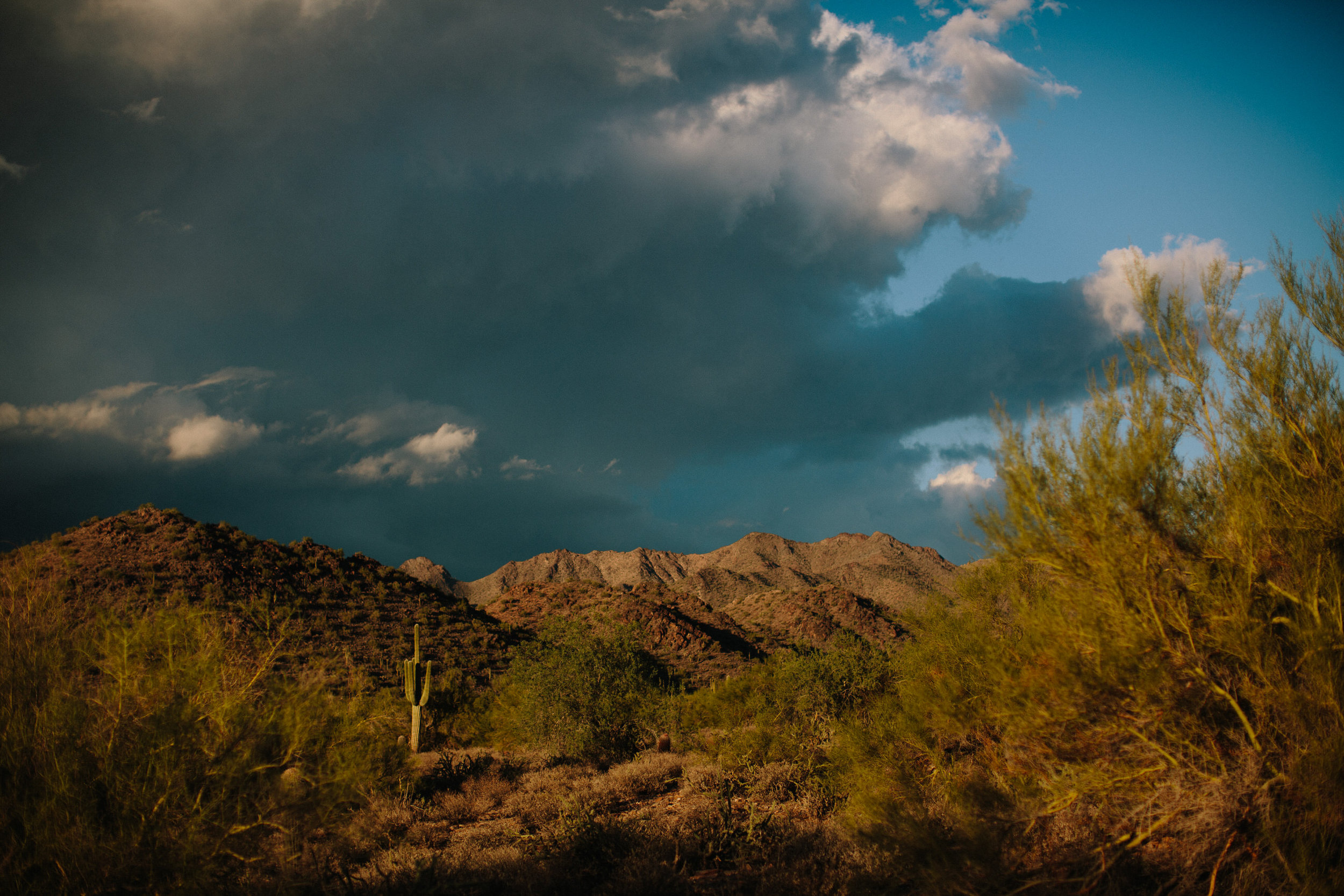 Arizona Desert Sunset Engagement Pics