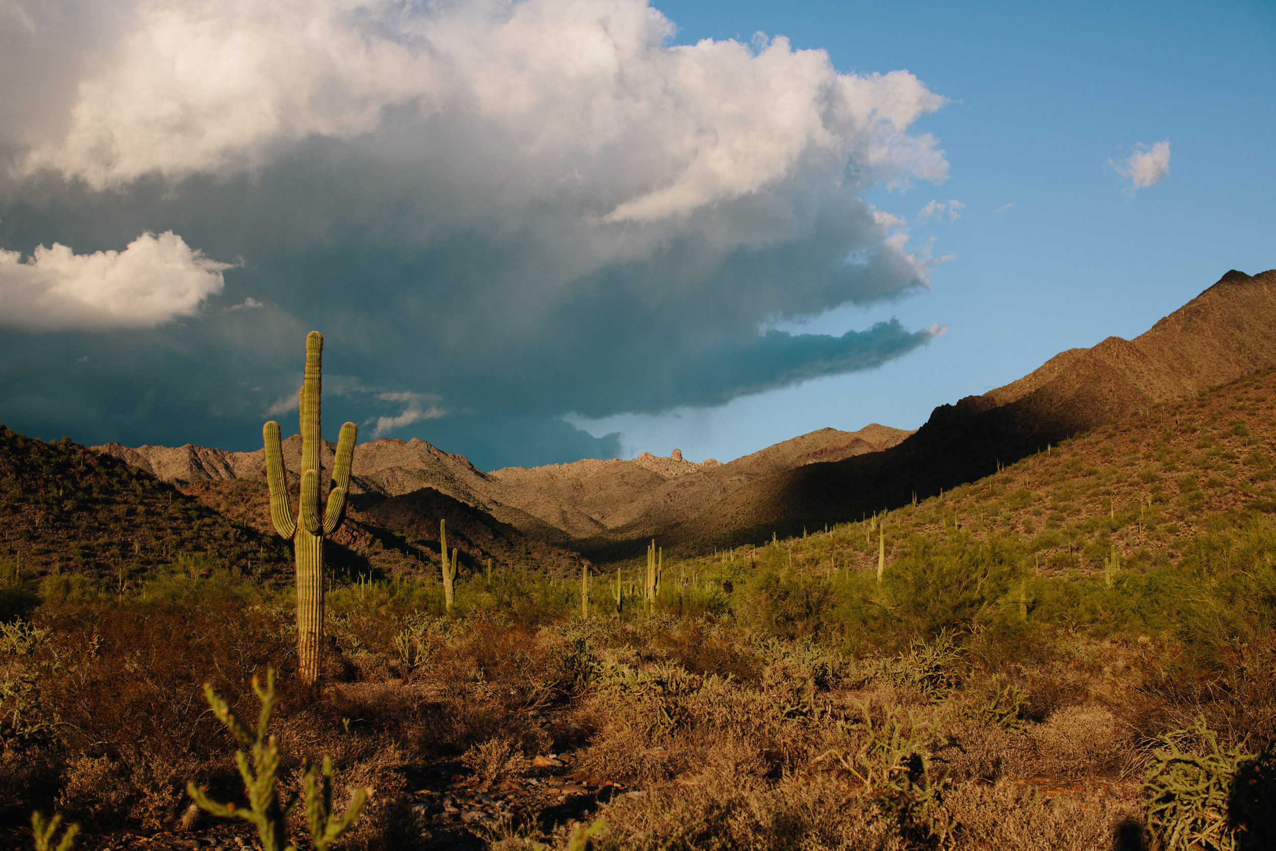 Arizona Desert Sunset Engagement Pics