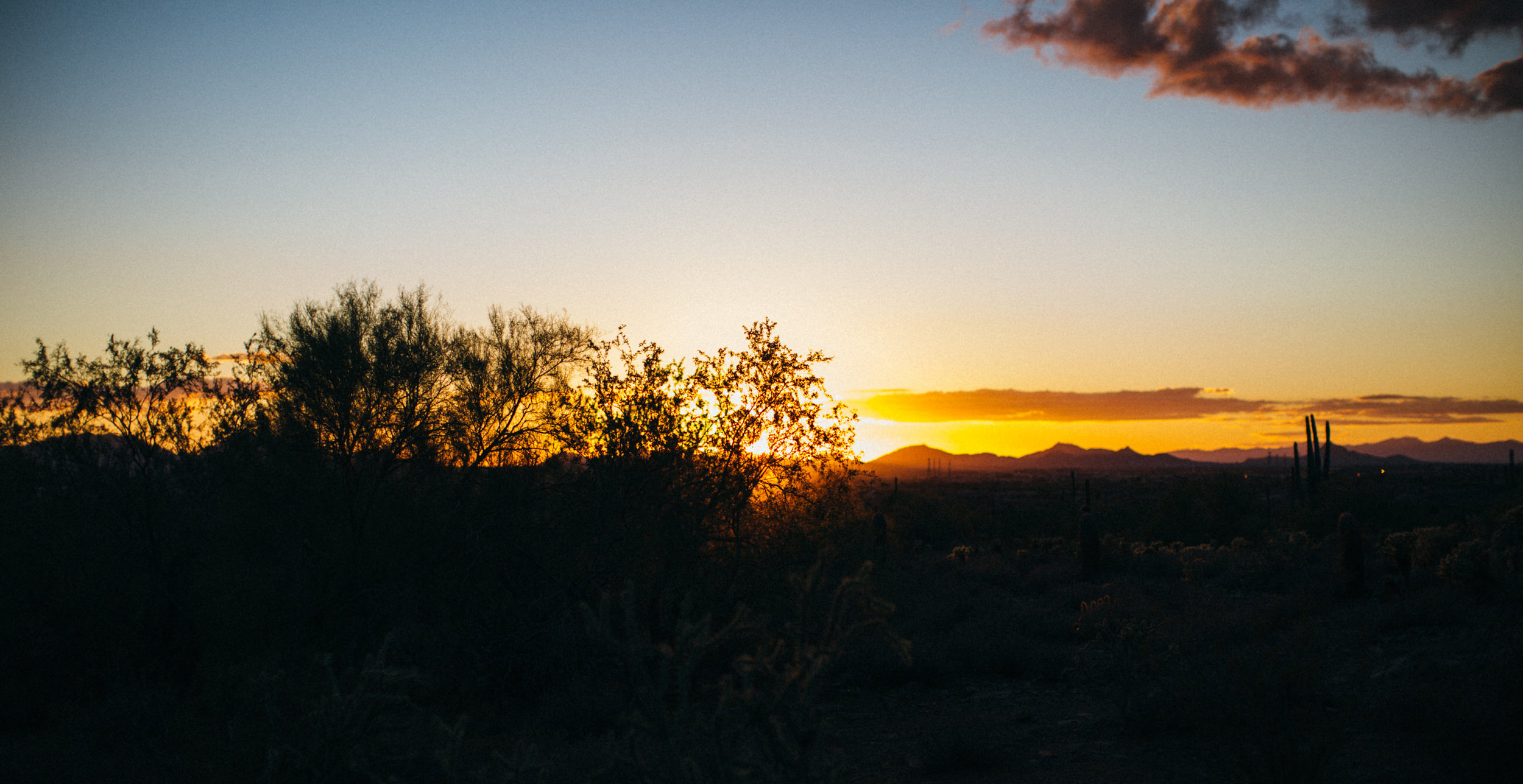 Arizona Desert Sunset Engagement Pics