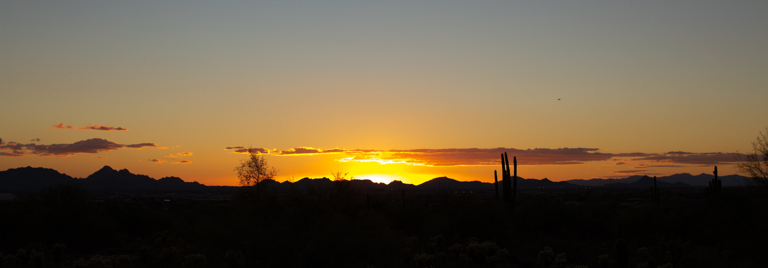 Arizona Desert Sunset Engagement Pics