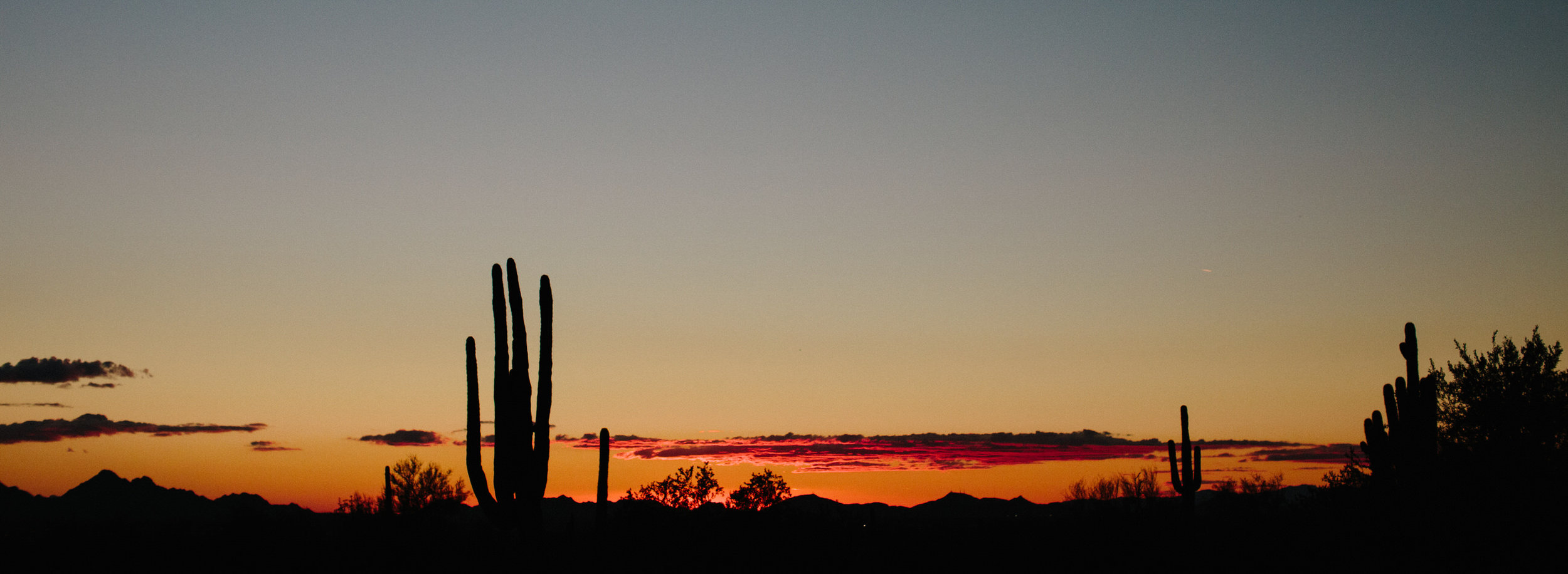 Arizona Desert Sunset Engagement Pics