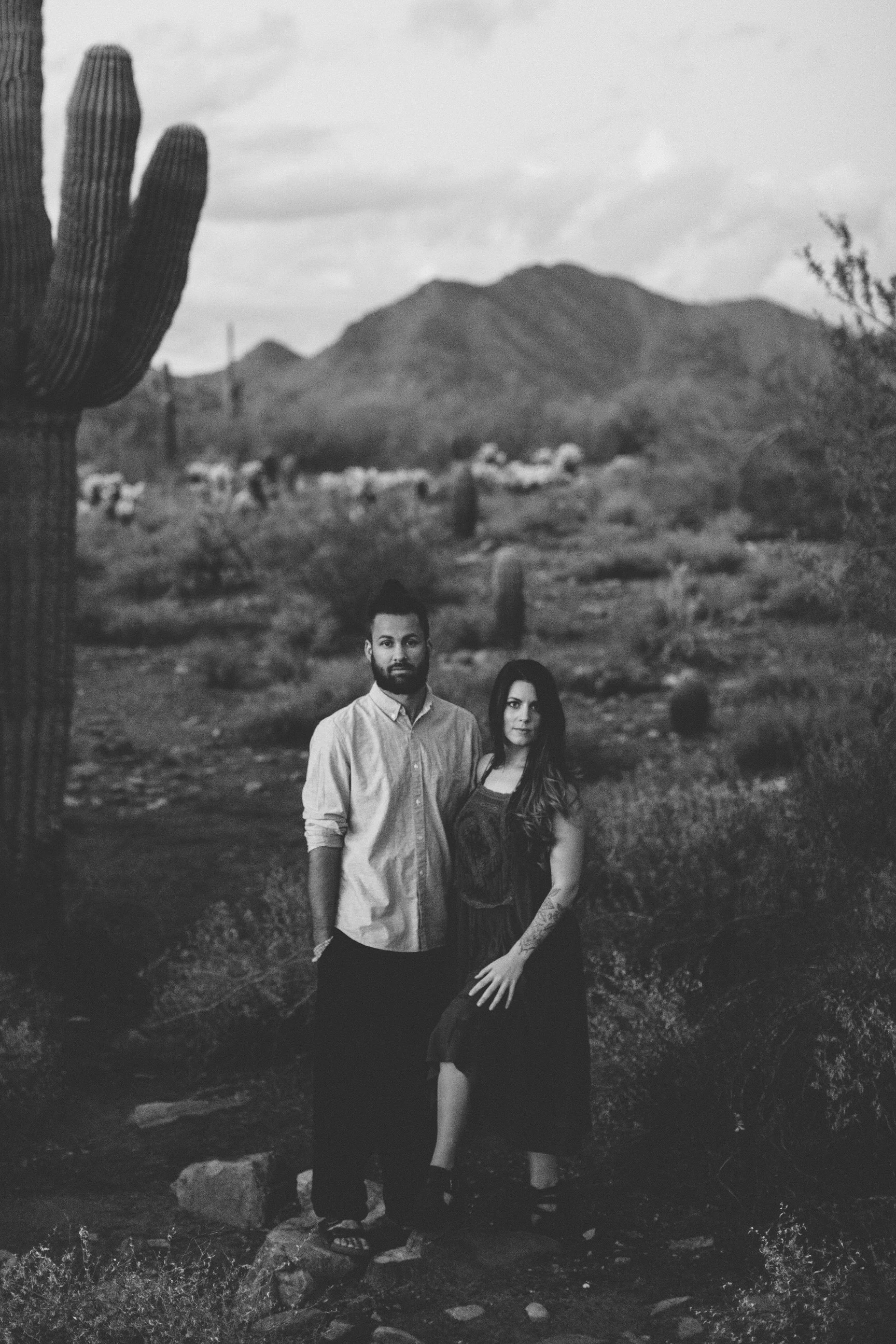 Arizona Desert Sunset Engagement Pics