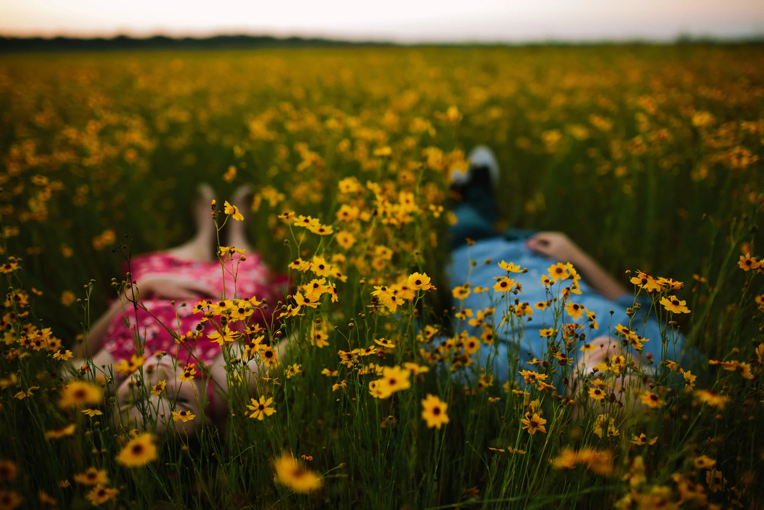 Field of Wild Flowers Engagement Session | Benjamin Hewitt Photography