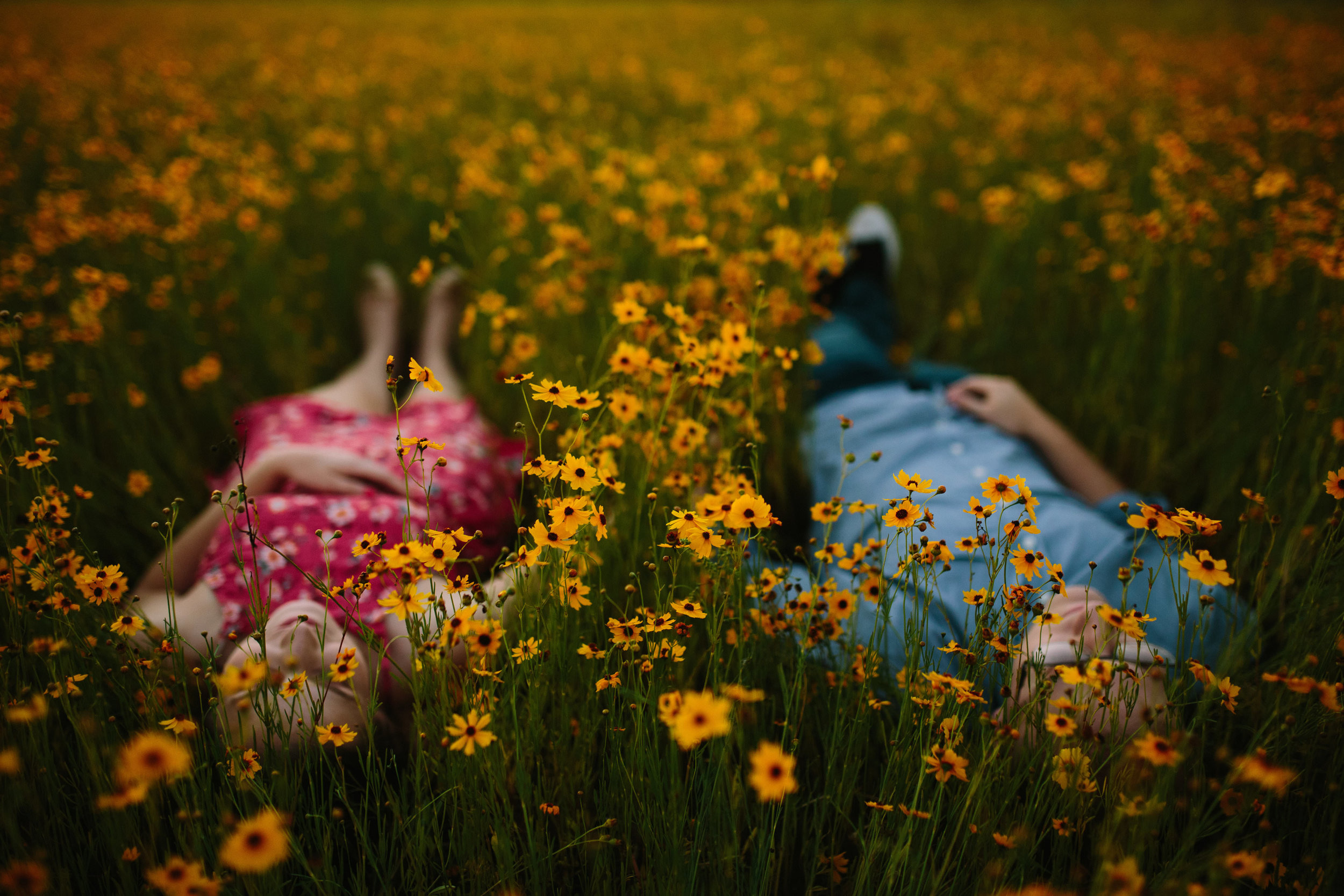 Field of Wild Flowers Engagement Session | Benjamin Hewitt Photography