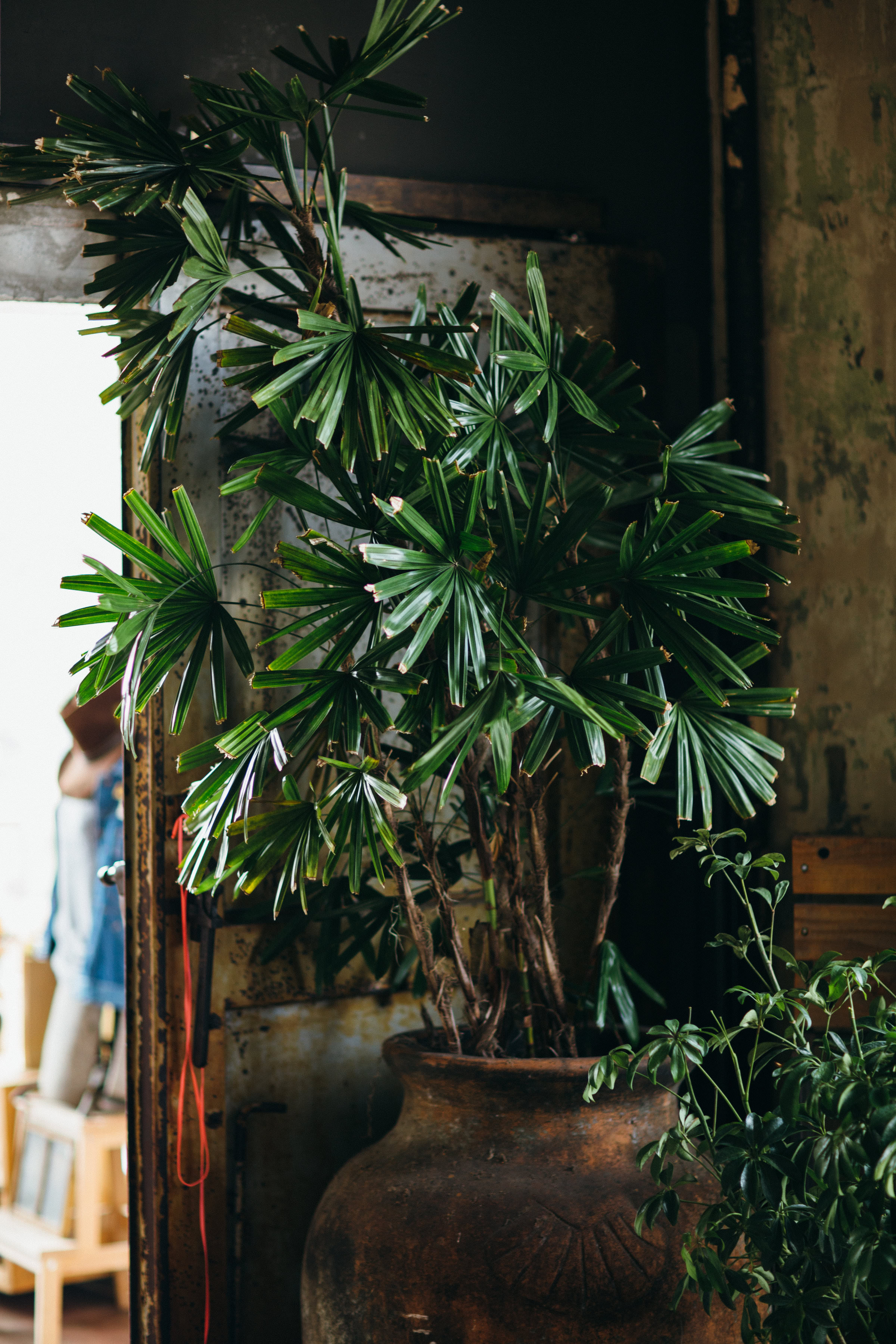 Wedding Inspiration | Summer Boho Fiesta | Benjamin Hewitt Photography