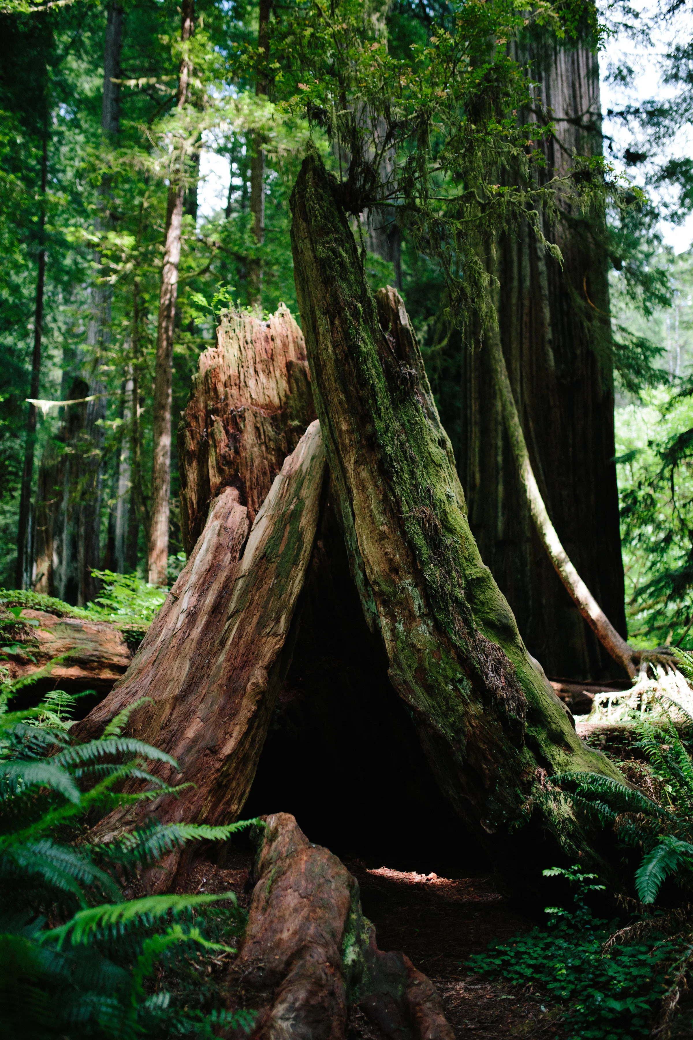 Pacific Northwest | California Photographer | Benjamin Hewitt Photography