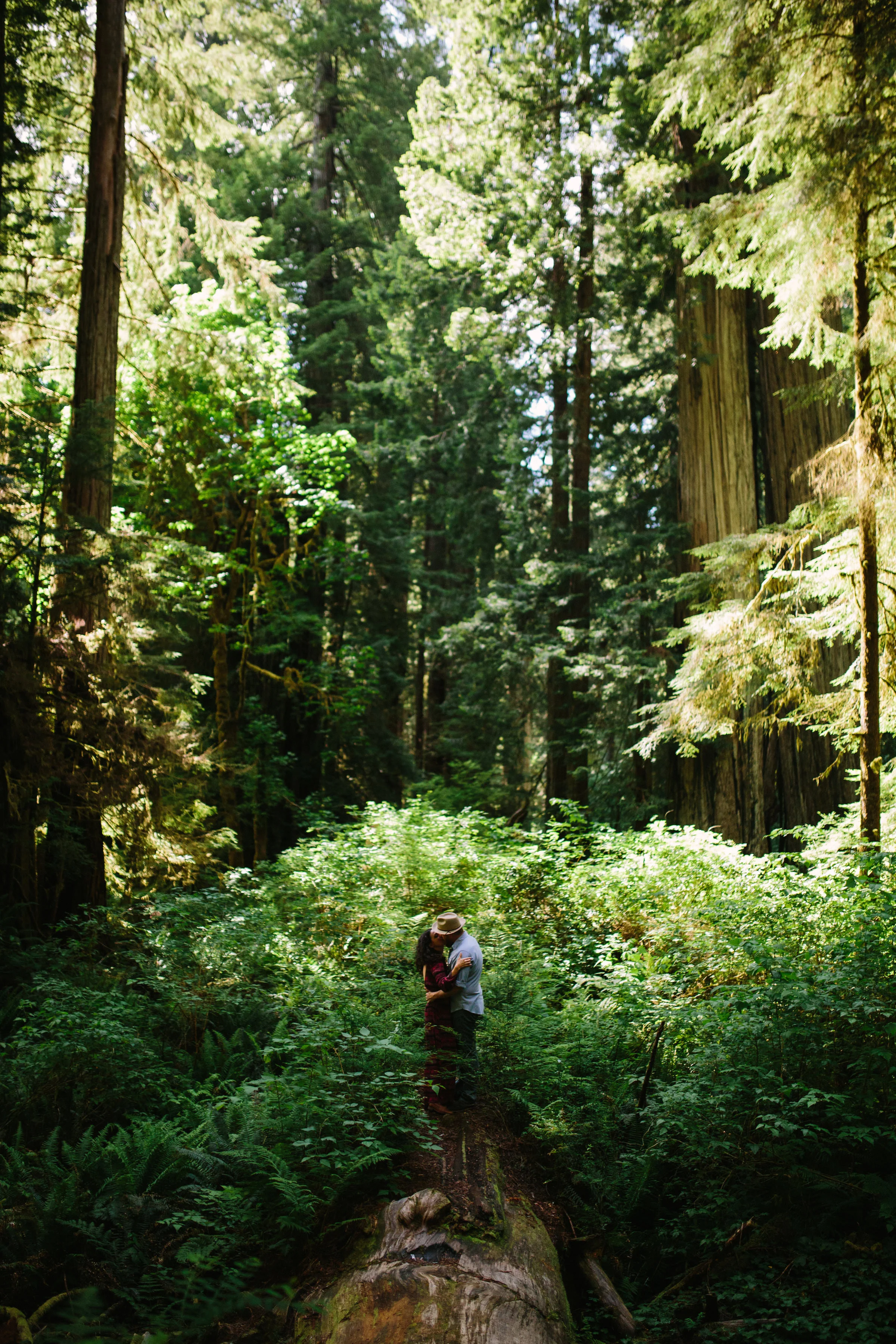 Pacific Northwest | California Photographer | Benjamin Hewitt Photography