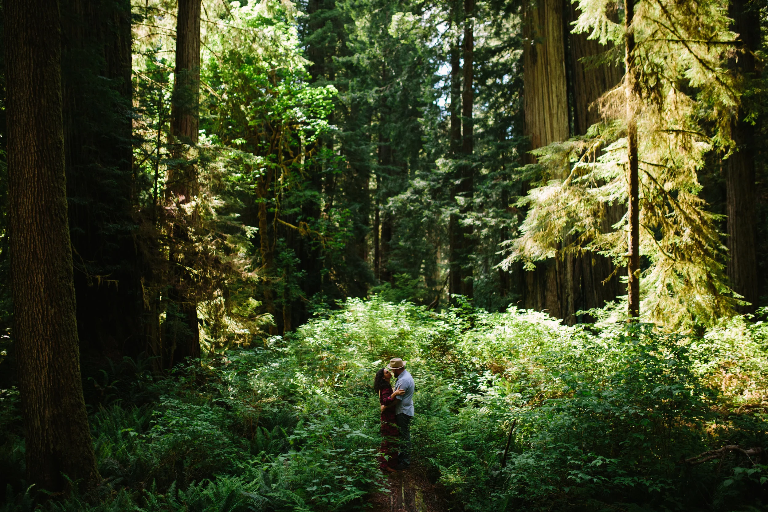 Pacific Northwest | California Photographer | Benjamin Hewitt Photography