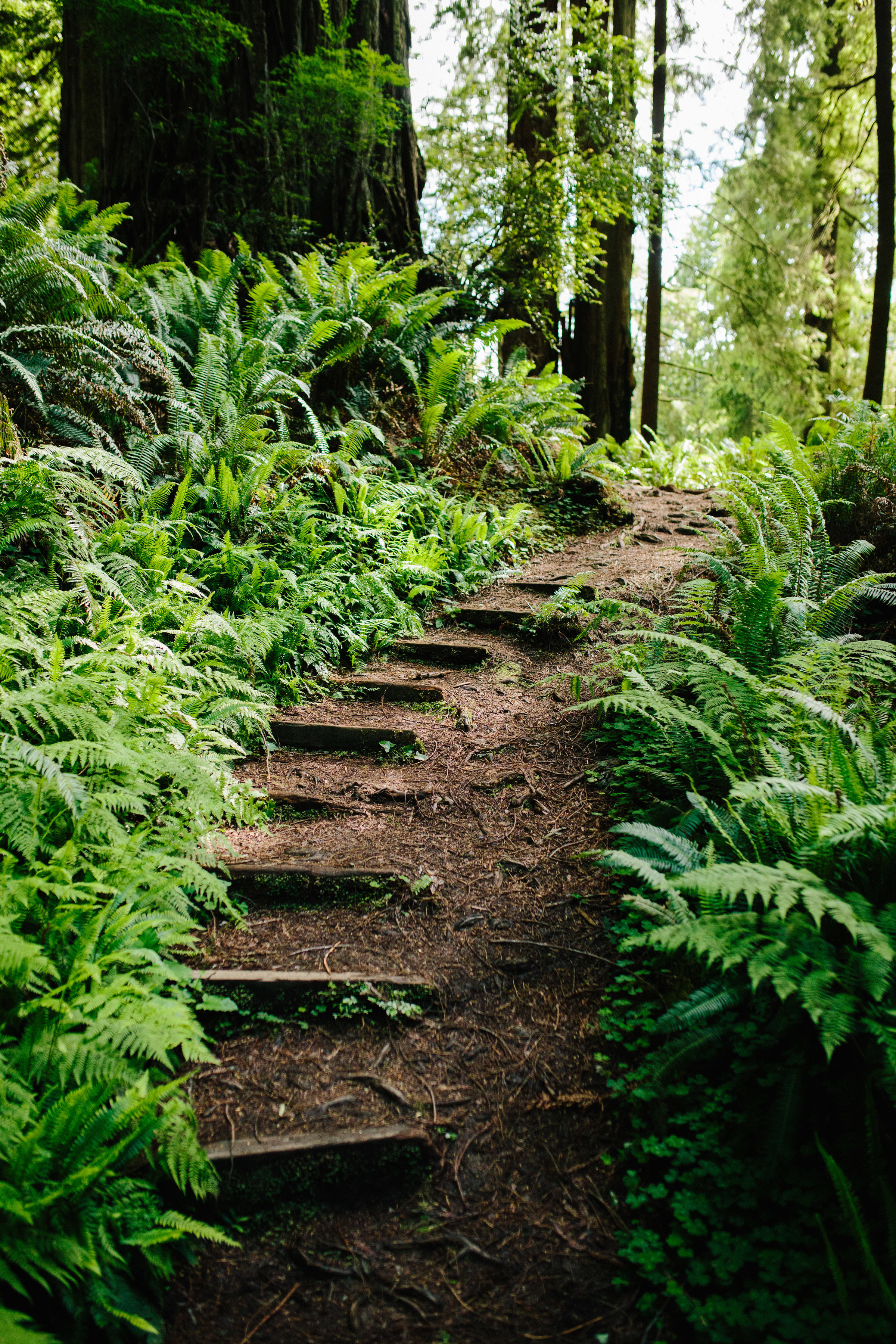 Pacific Northwest | California Photographer | Benjamin Hewitt Photography